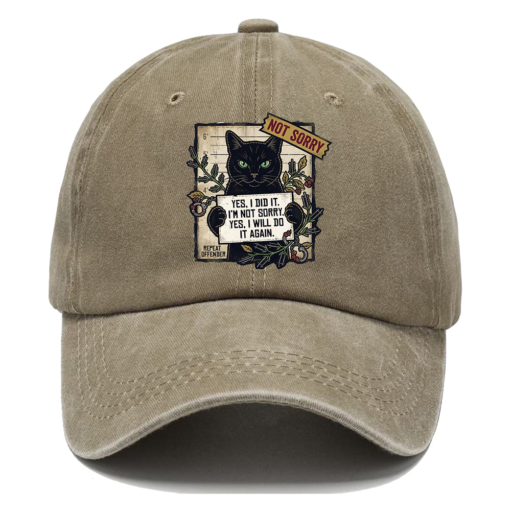 Not Sorry I DID IT Cat Classic Cap