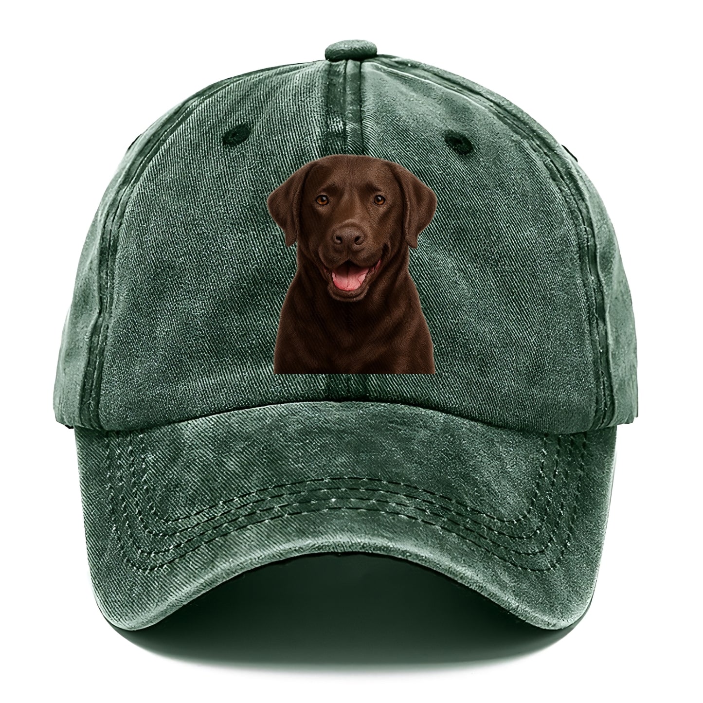 labrador friendly family Hat