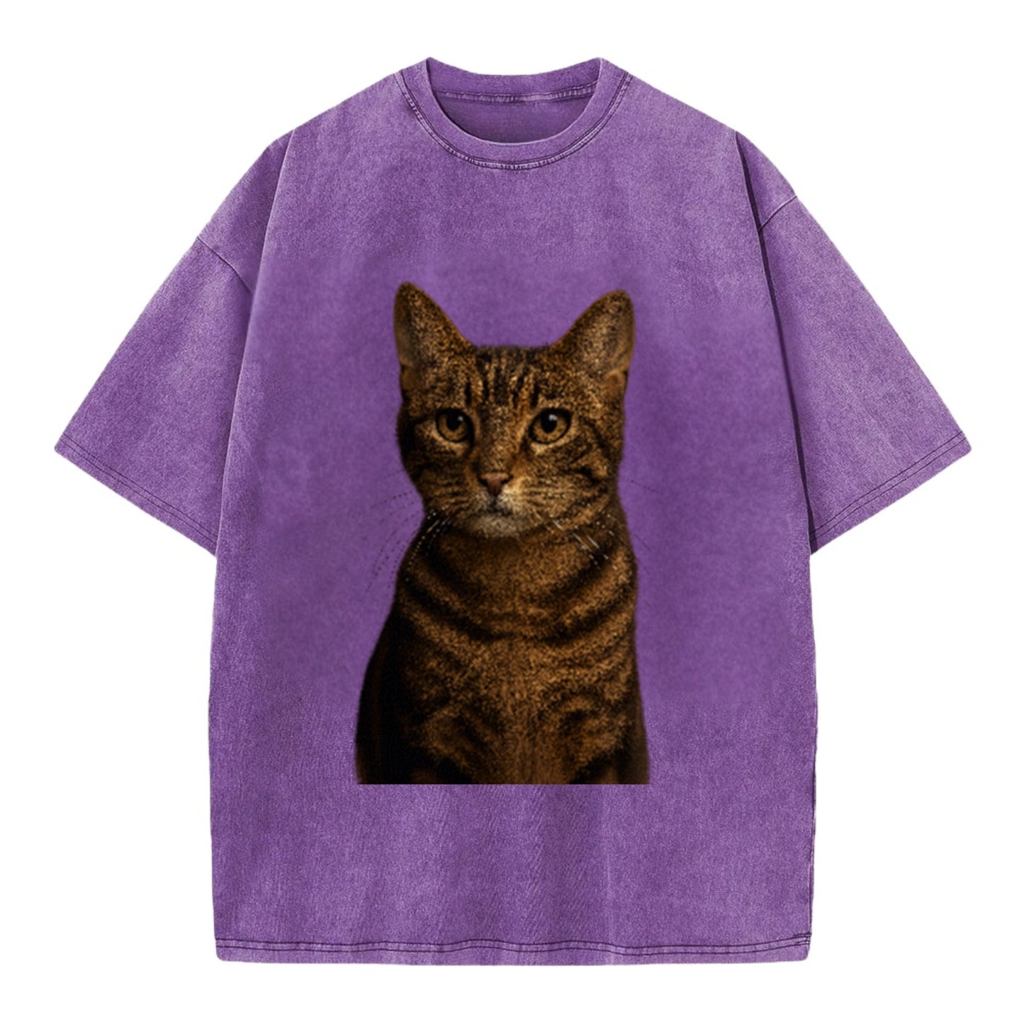 brown-tabby-playful-spirit Hat