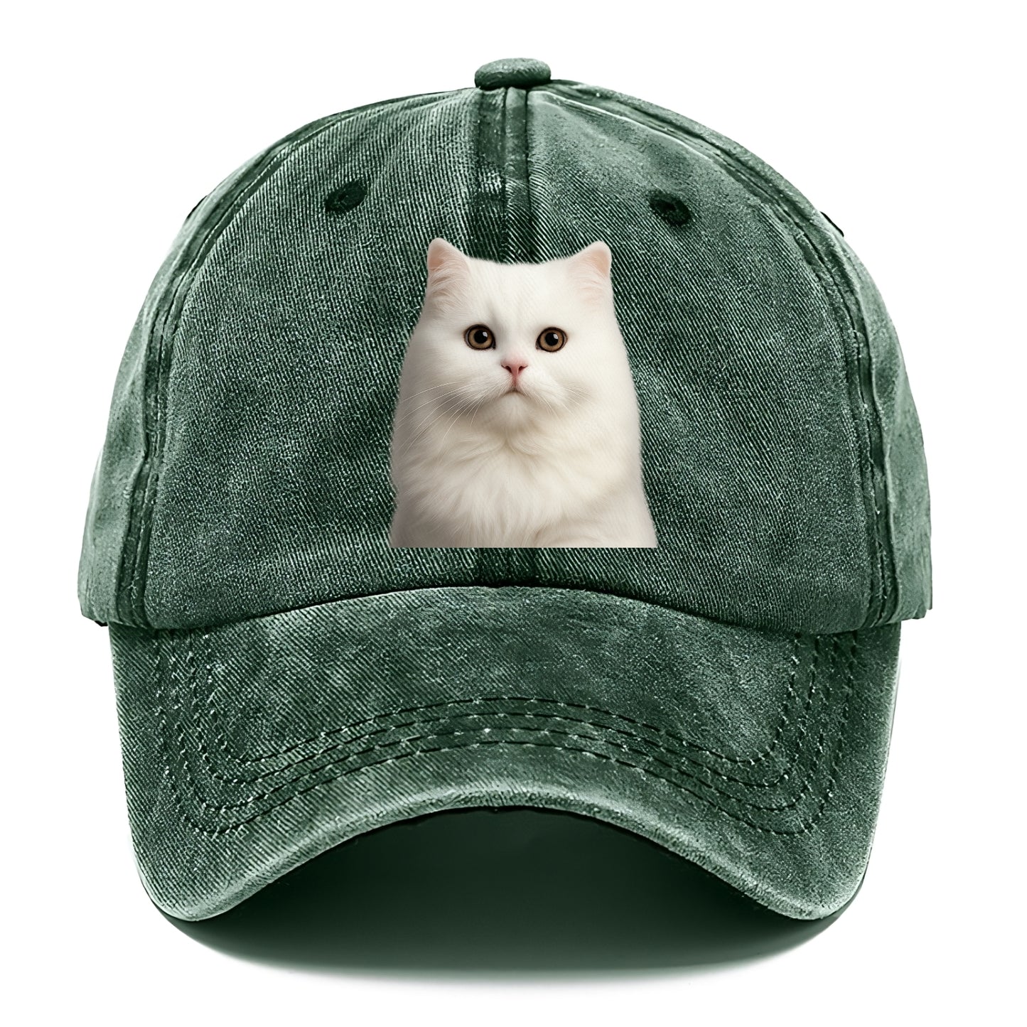 persian cat royal elegance Hat