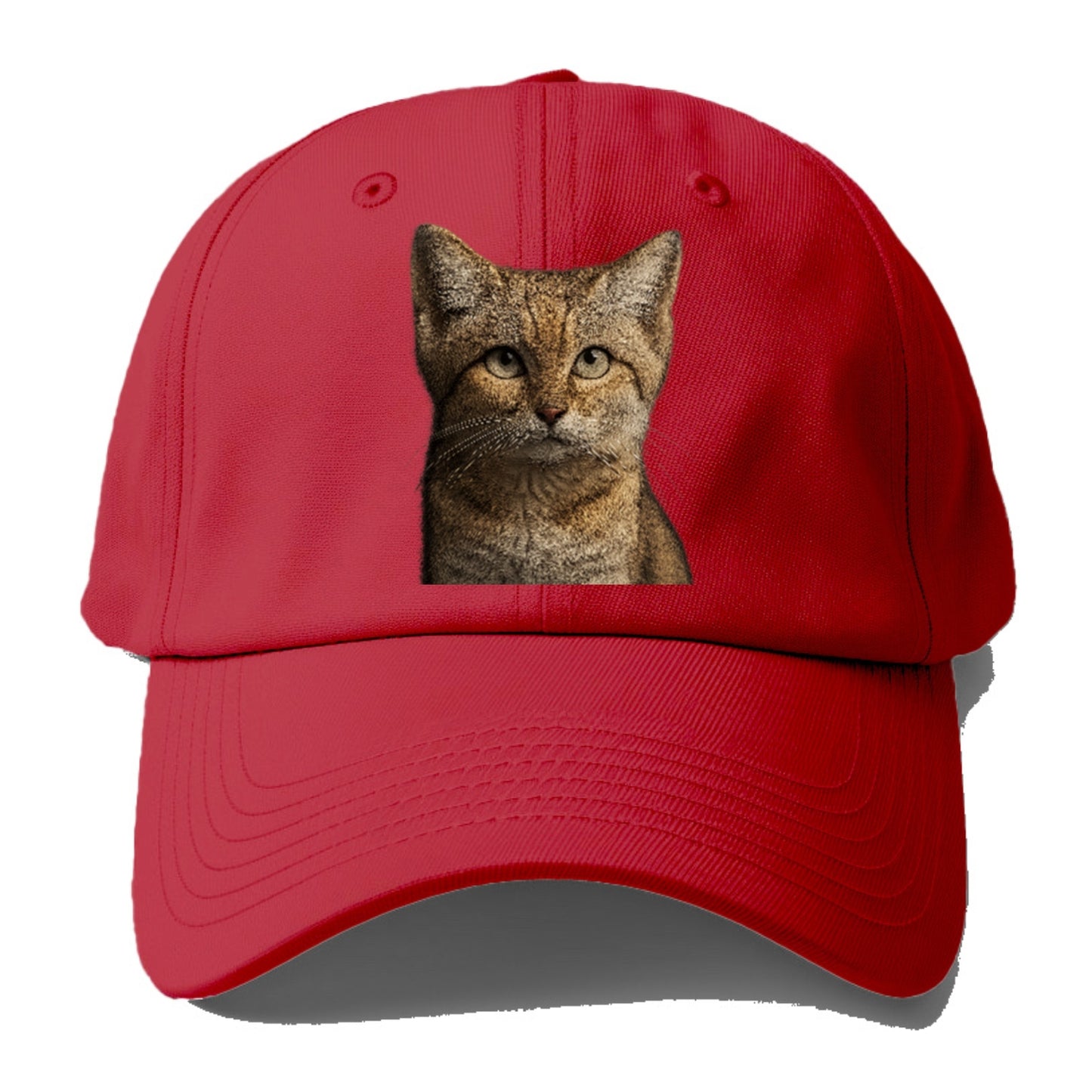sand-cat-desert-spirit Hat