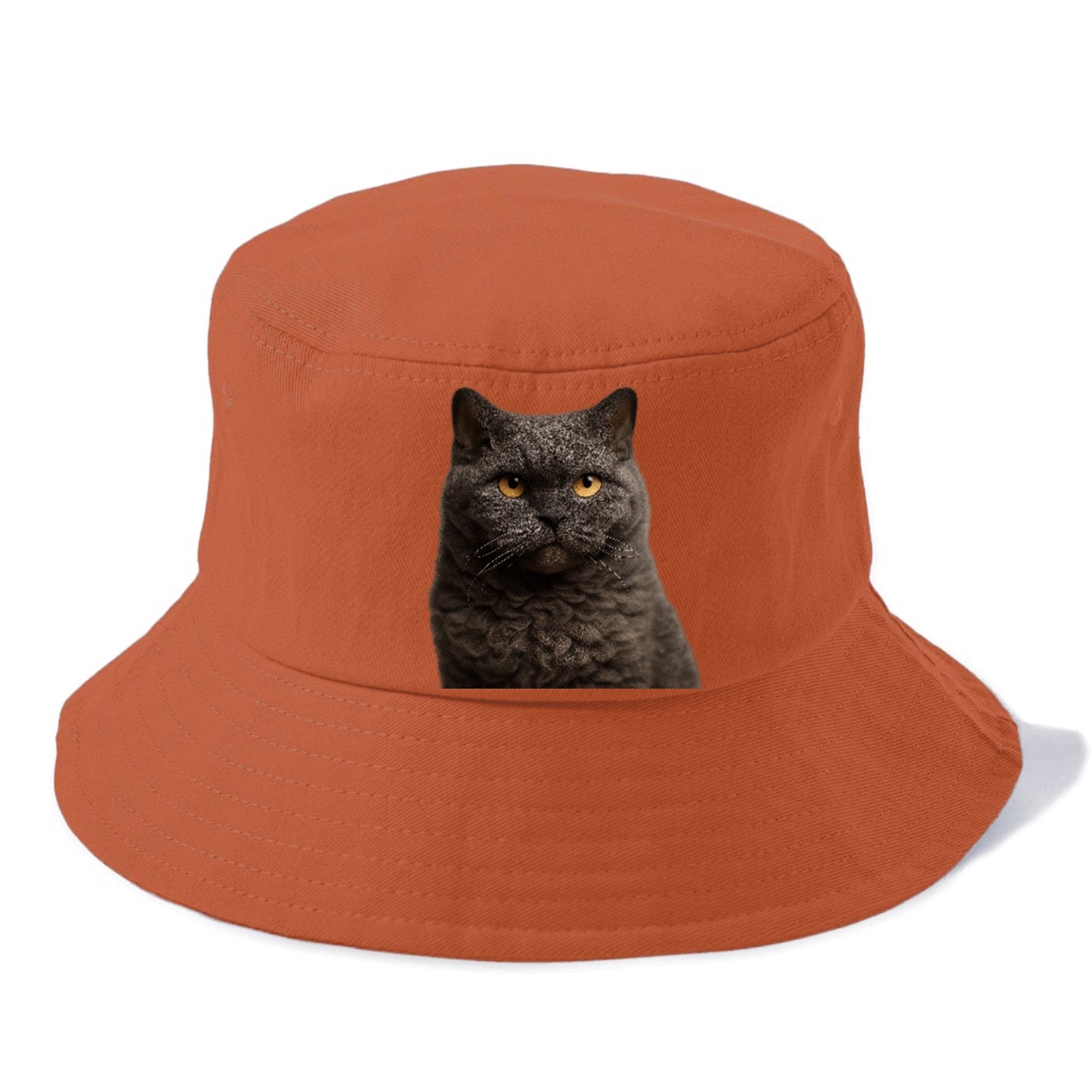 selkirk-rex-curly-charm Hat