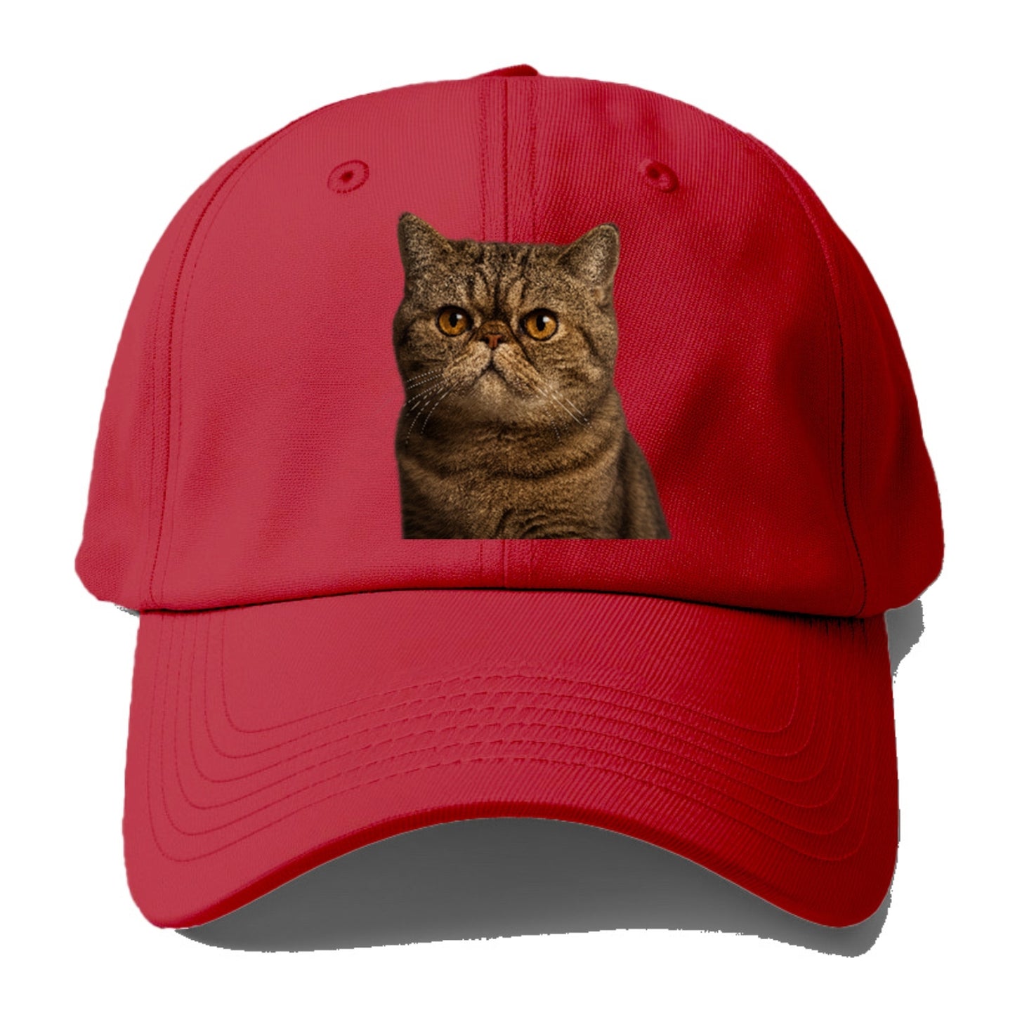 exotic-shorthair-charm Hat