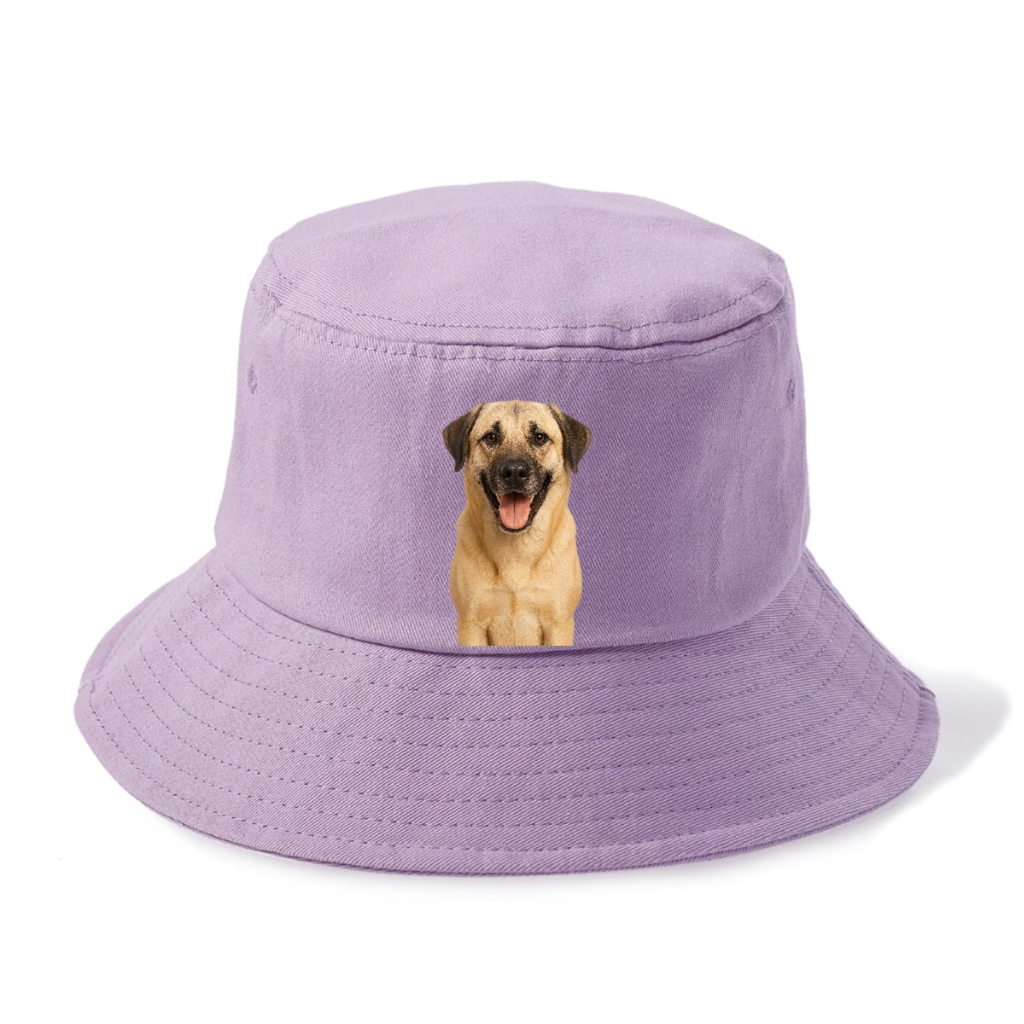 anatolian shepherd portrait design Hat