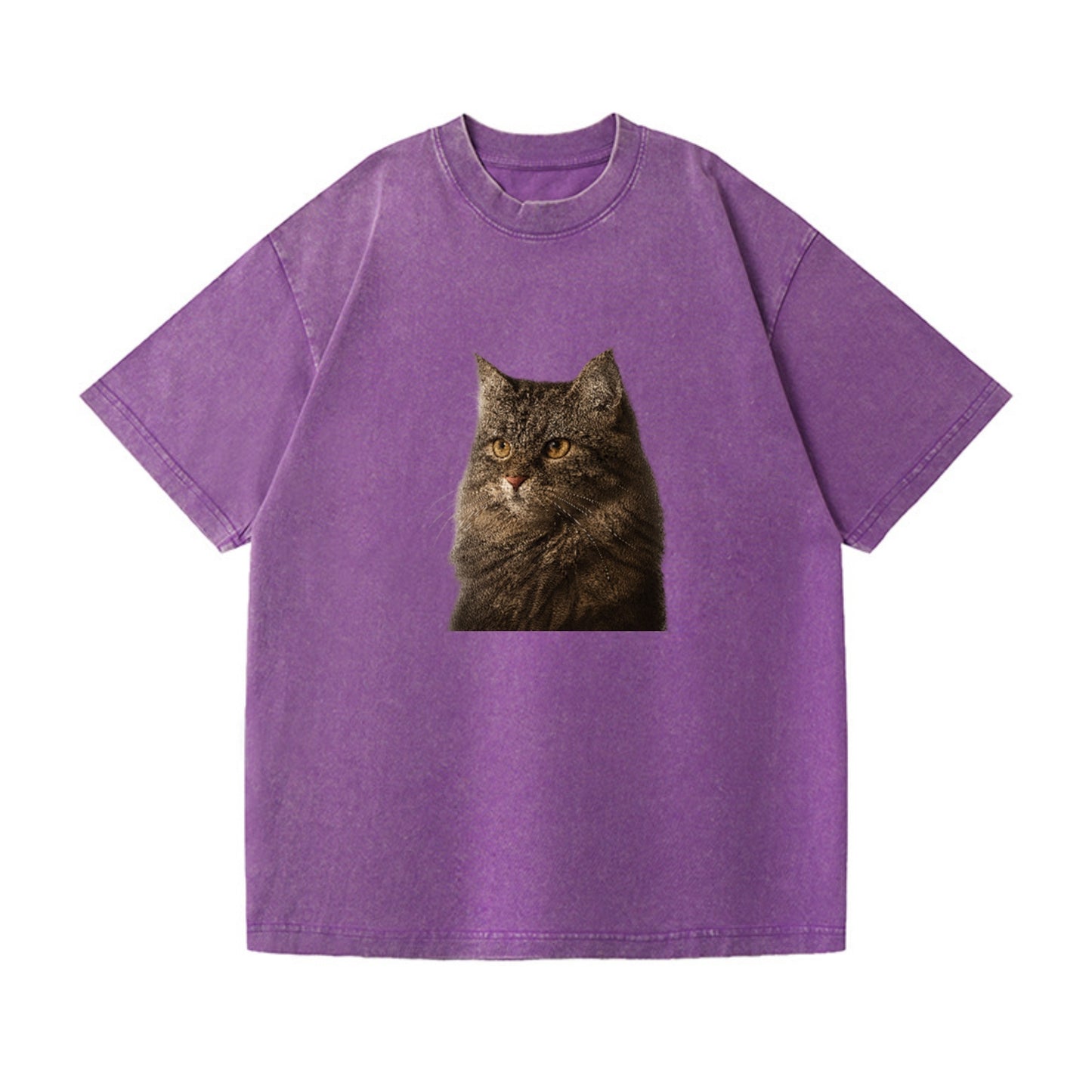 domestic-longhair-graceful-charm Hat