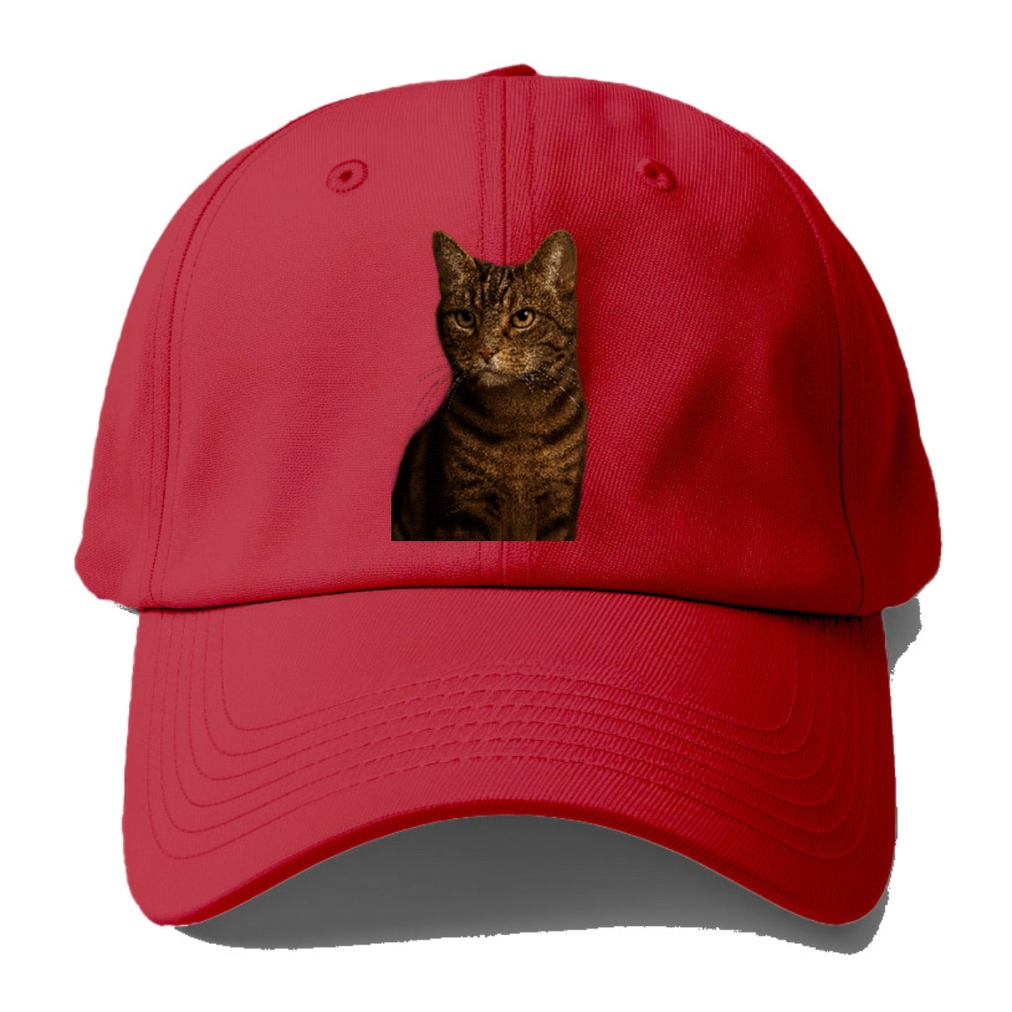 brown-tabby-cozy-charm Hat