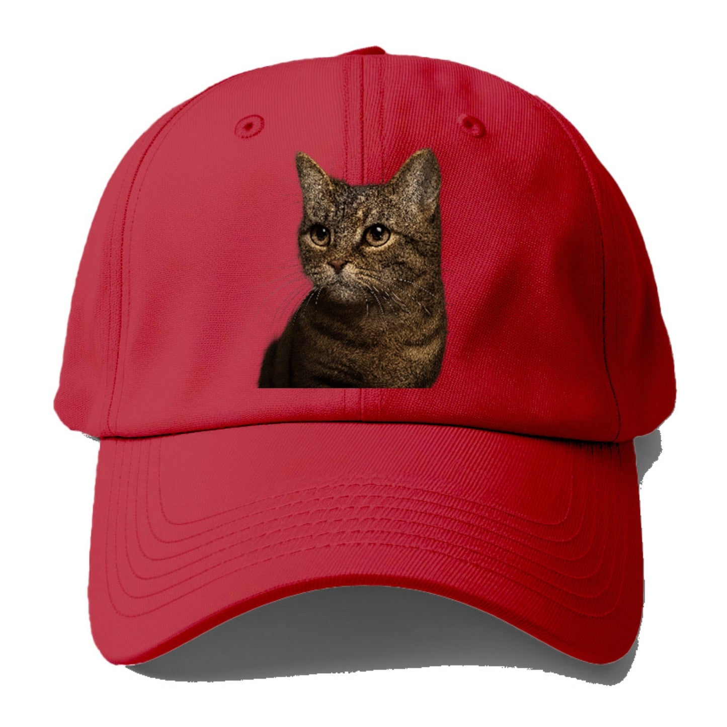 munchkin-cat-charming-spirit Hat