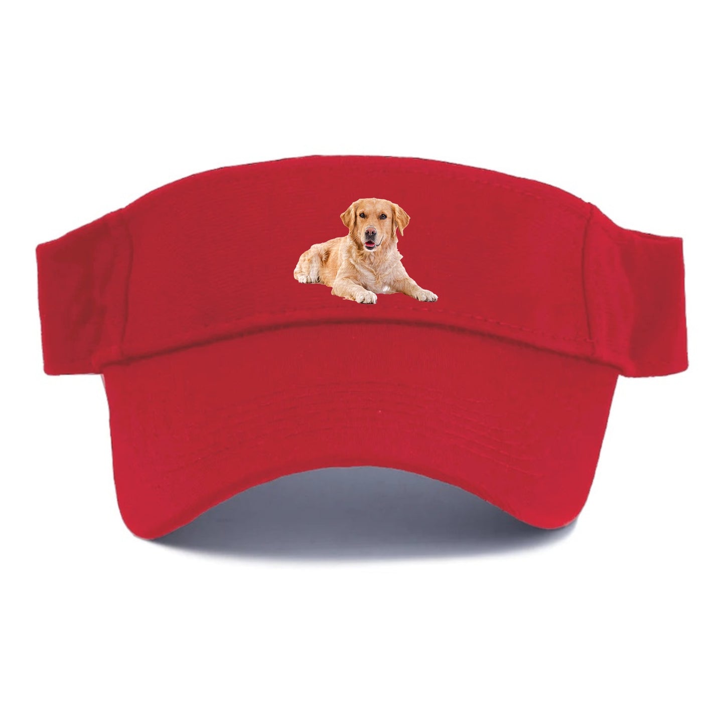 Golden Retriever laying down Hat