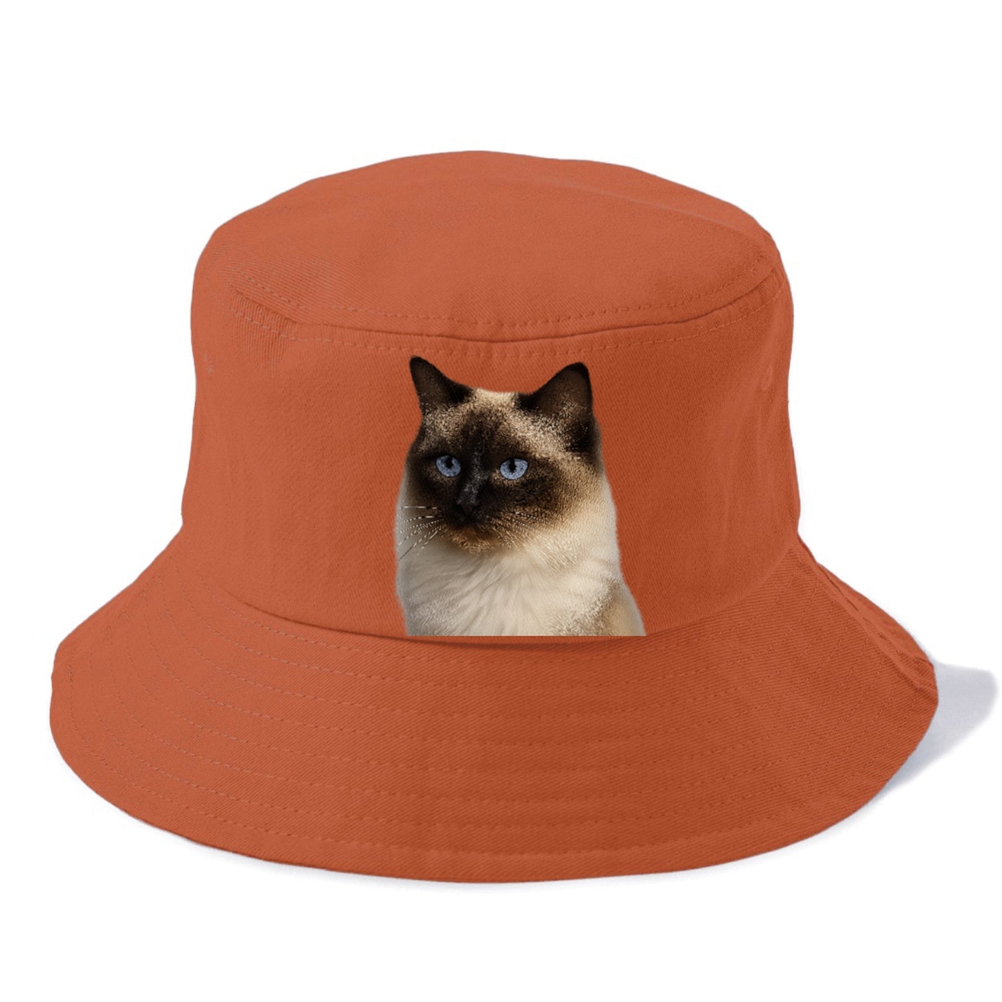 ragdoll-gentle-charm Hat