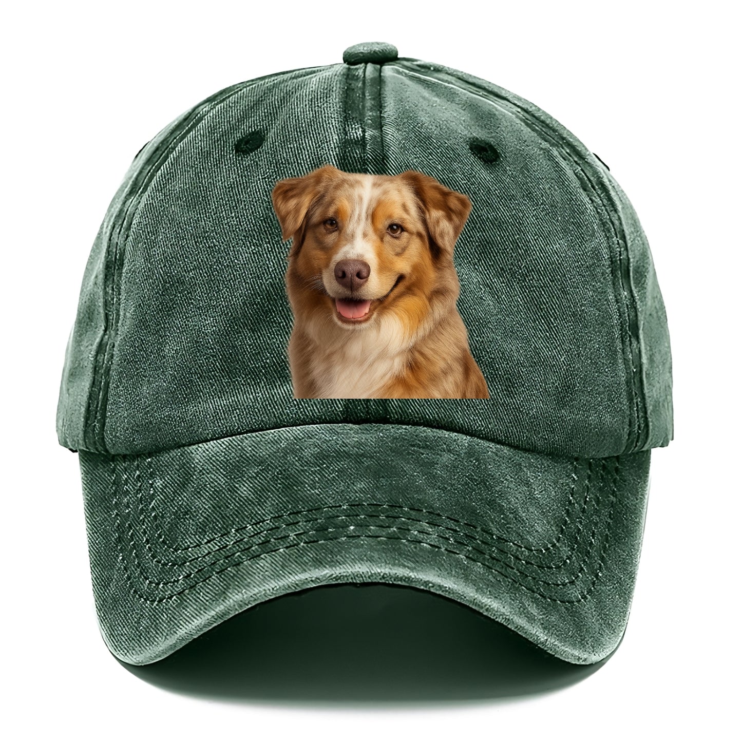 red merle australian shepherd portrait design Hat