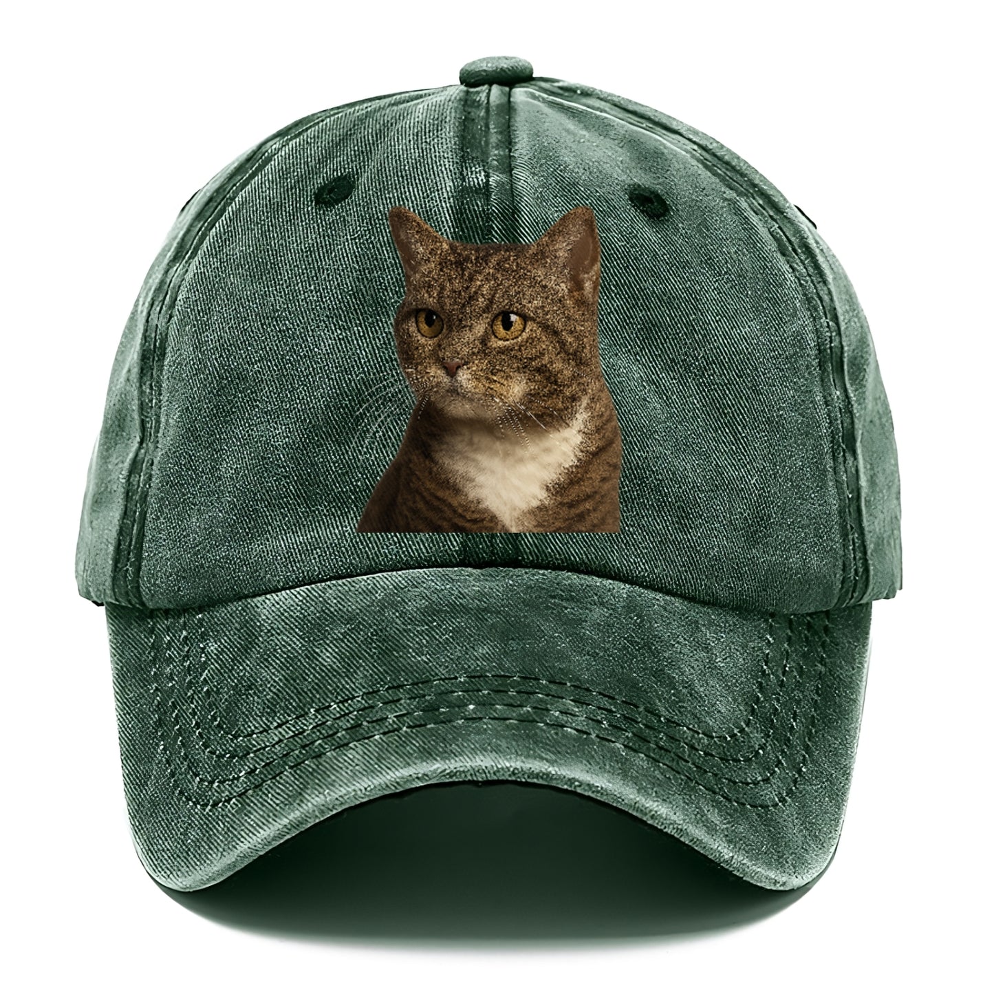 american-wirehair-unique-charm Hat