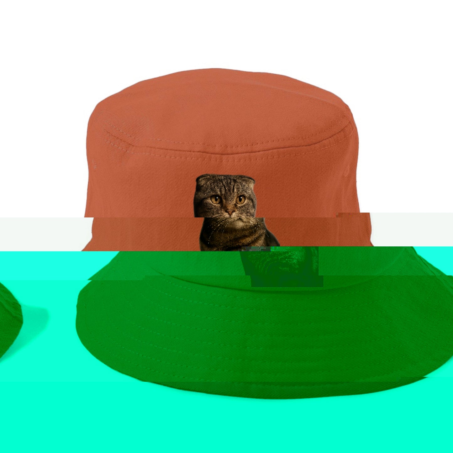 scottish-fold-curious-charm Hat