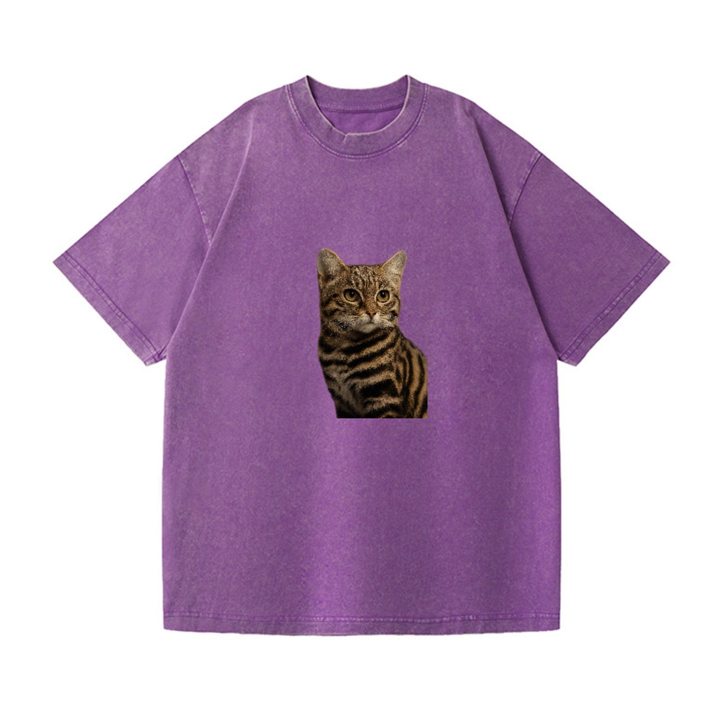 blackfooted-cat-elusive-hunter Hat