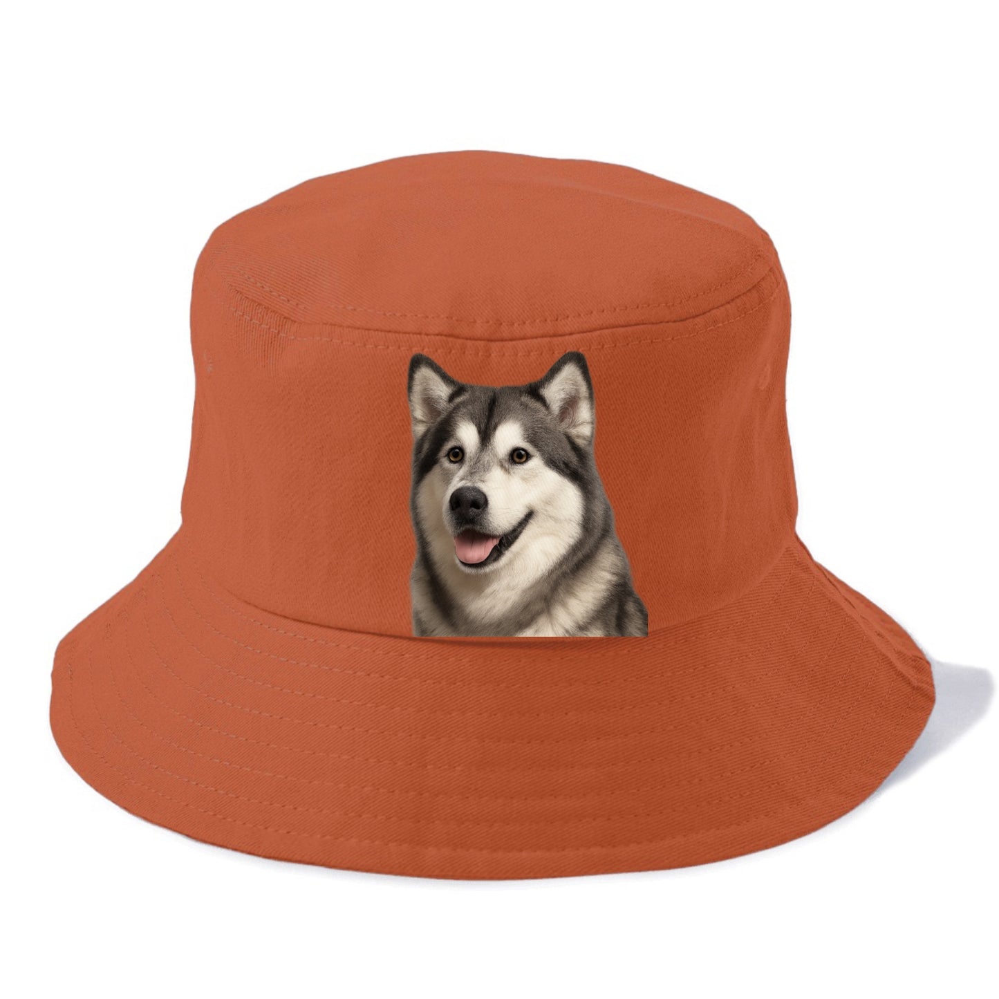 alaskan malamute portrait design Hat