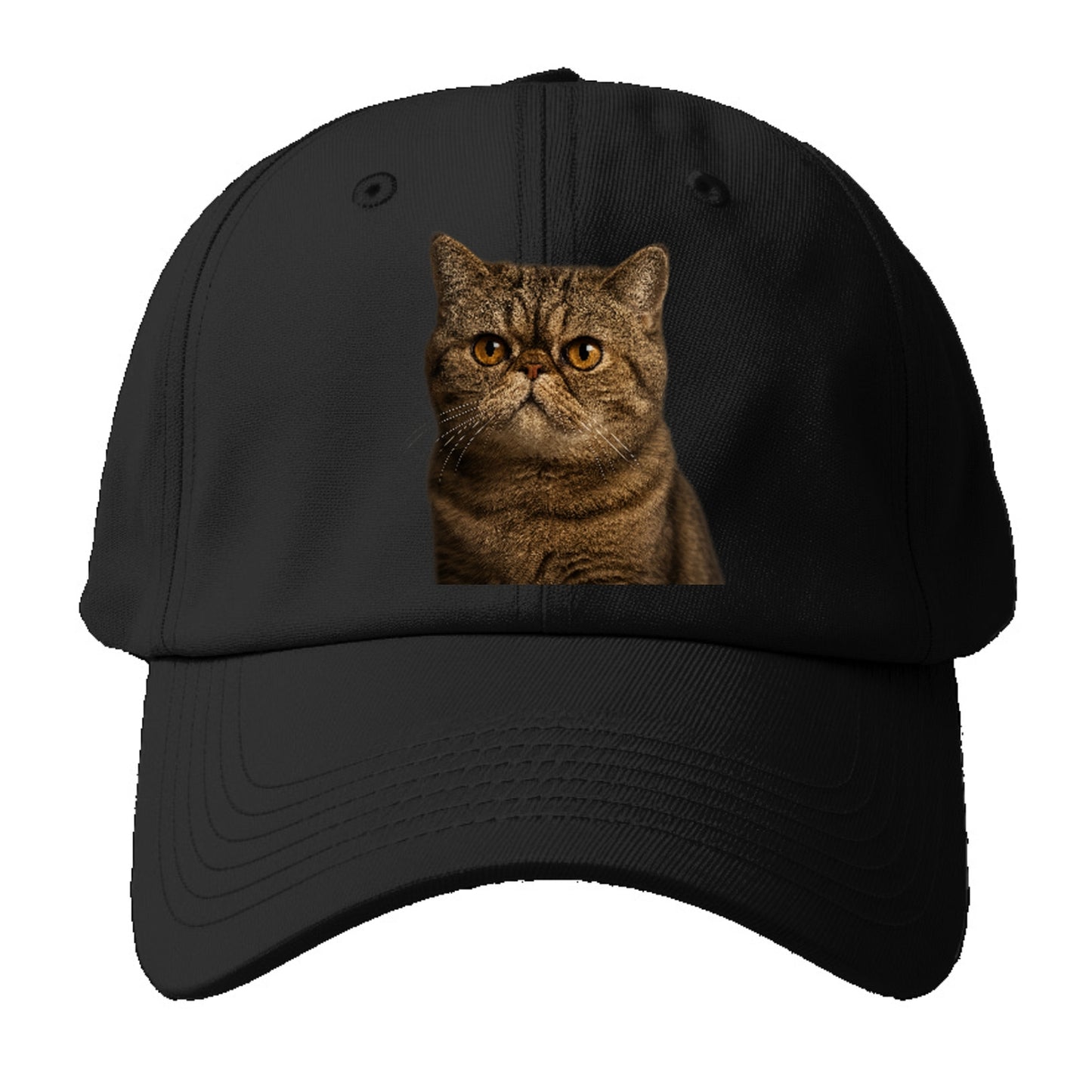 exotic-shorthair-charm Hat