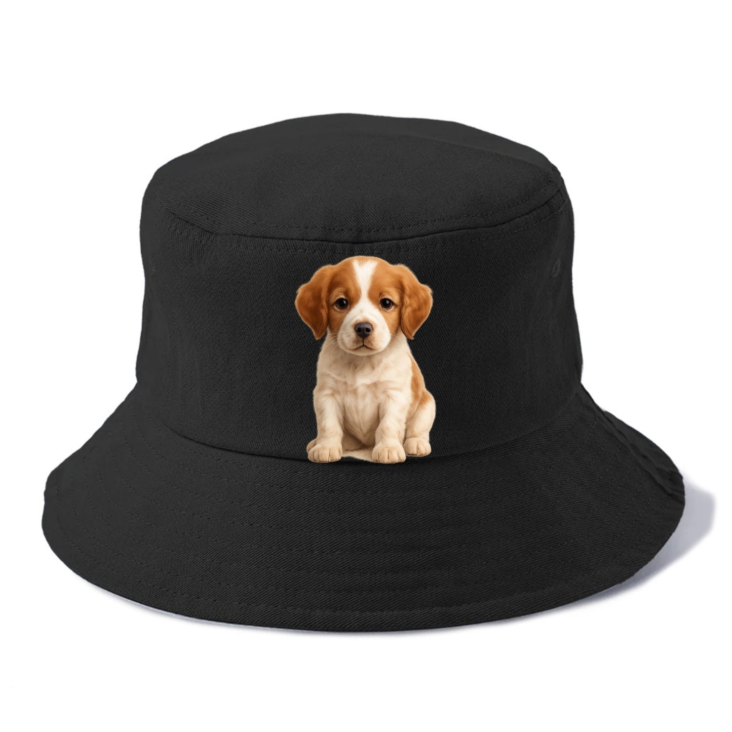 Baby Brittany Puppy - orange and white, compact, bright eyes, feathered, front-facing, - Bucket Hat - Black