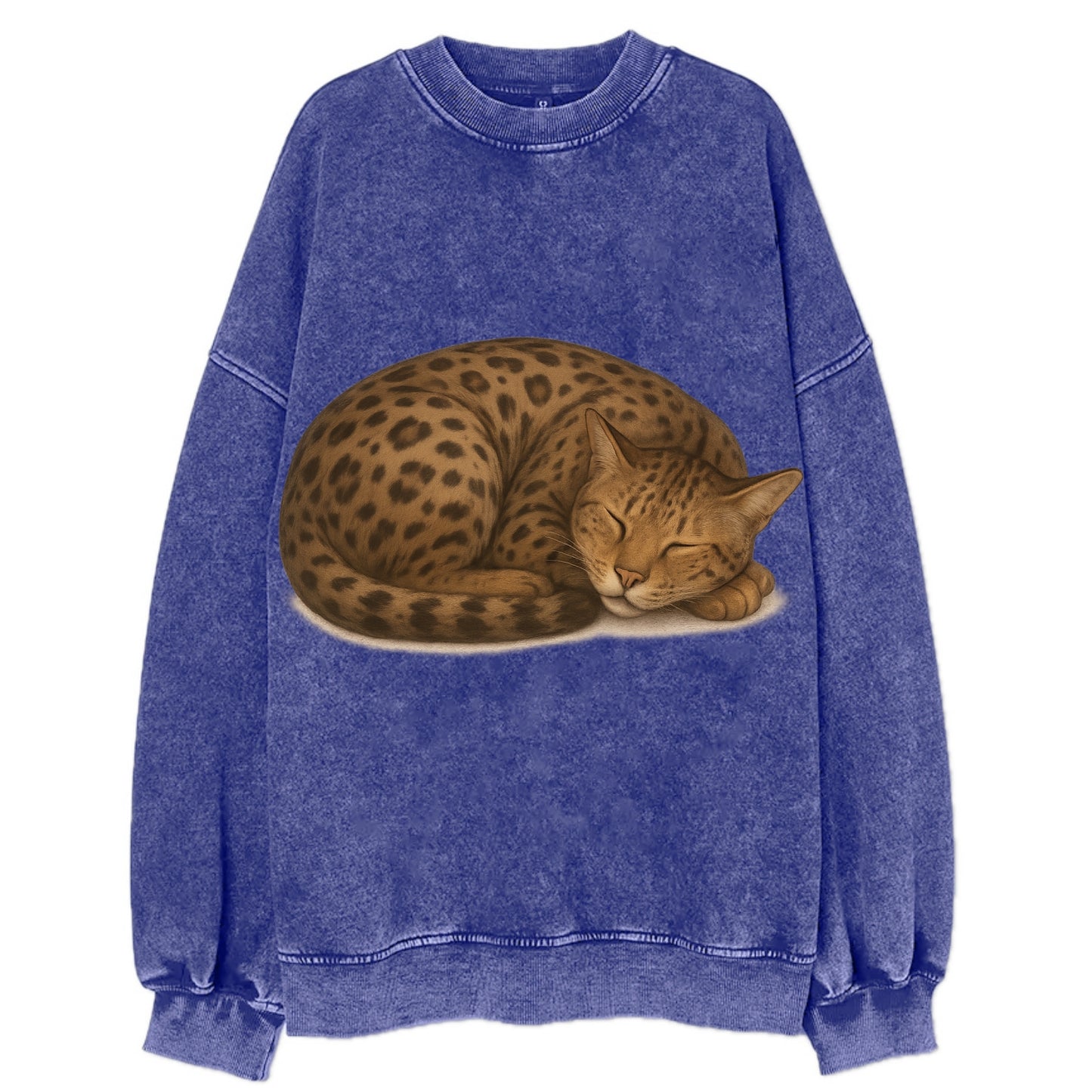 Ashera - Vintage Sweatshirt - Blue