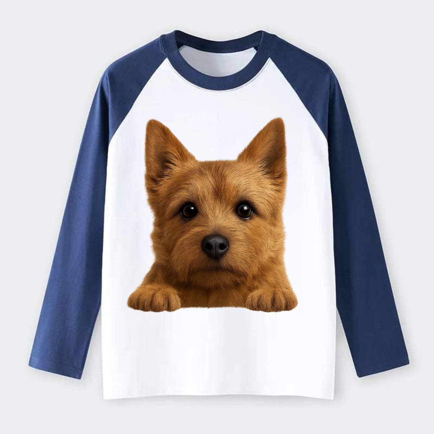 Norwich Terrier - Raglan Long Sleeve T-Shirt - Blue