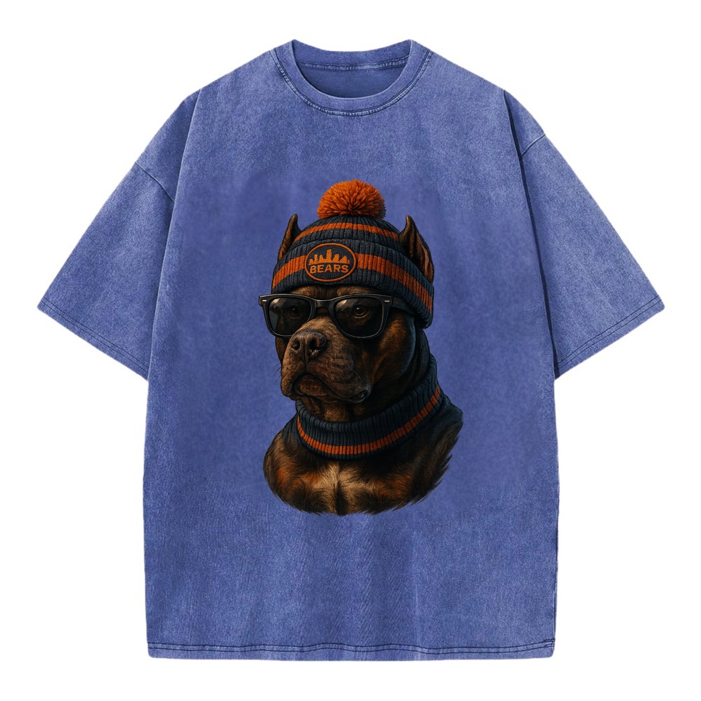 Chicago Pitbull wearing Bears beanie with skyline patch and wayfarer sunglasses - Vintage T-shirt - Blue
