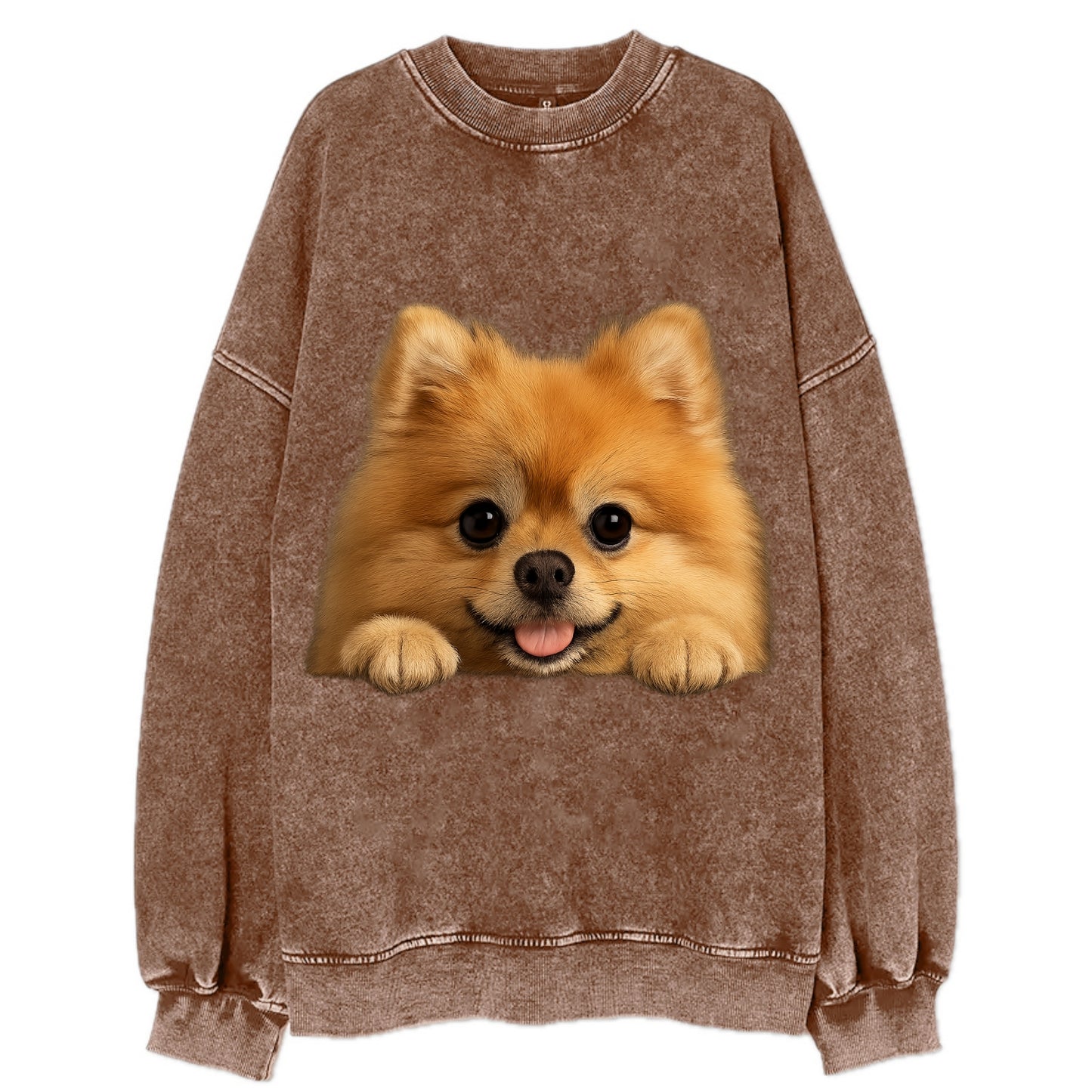 Pomeranian - Vintage Sweatshirt - Brown