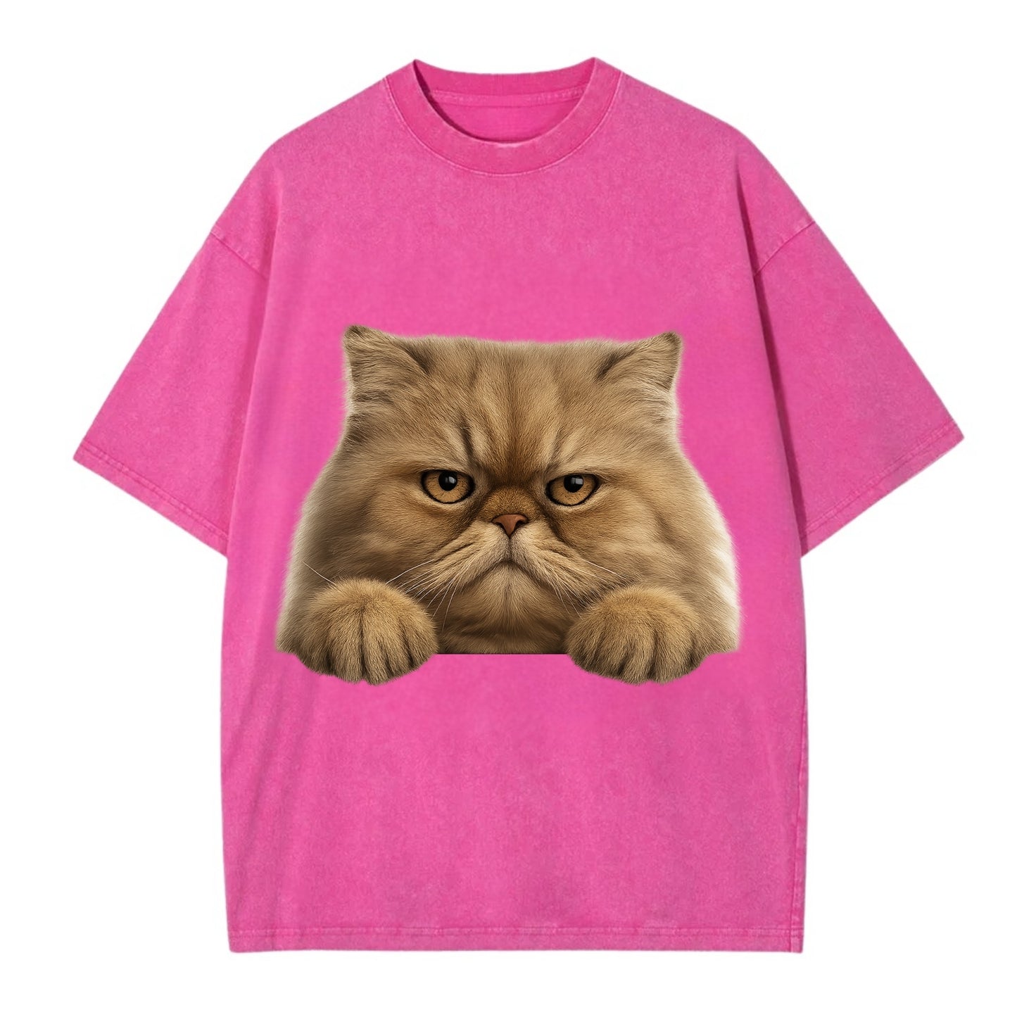 Persian Cat - Vintage T-shirt - Dusty Rose(Rose)