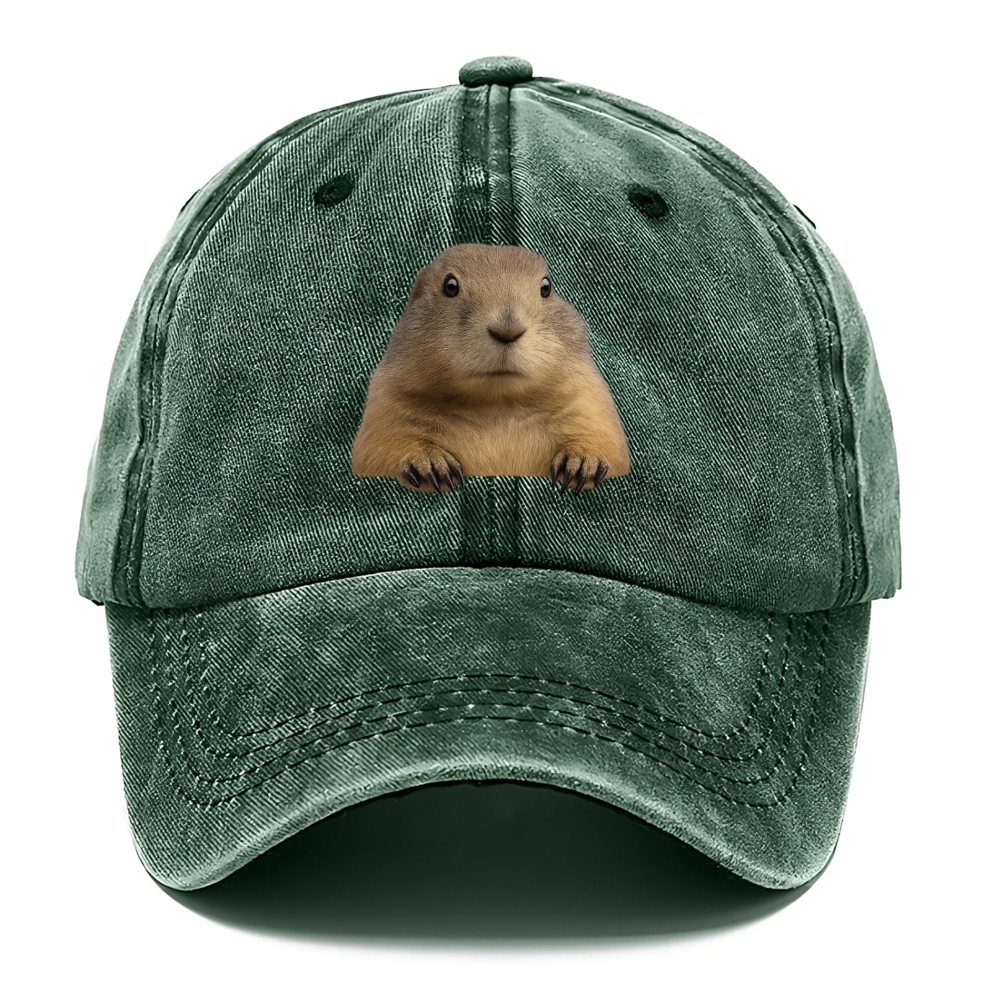 Prairie Dog - Classic Cap - Forest Mist(Green)