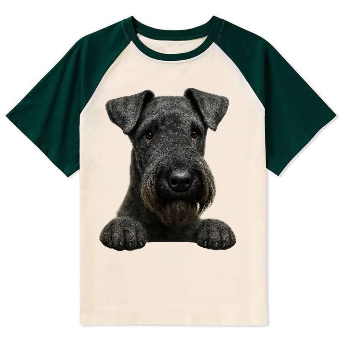 Kerry Blue Terrier - Contrast Raglan T-shirt - Green