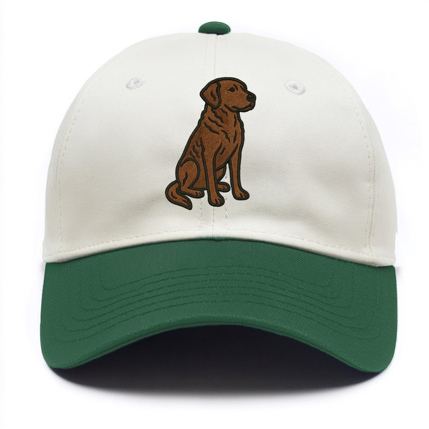 Chesapeake Bay Retriever - Brown wavy coat embroidered sitting pose - Two Tone Cap - Green