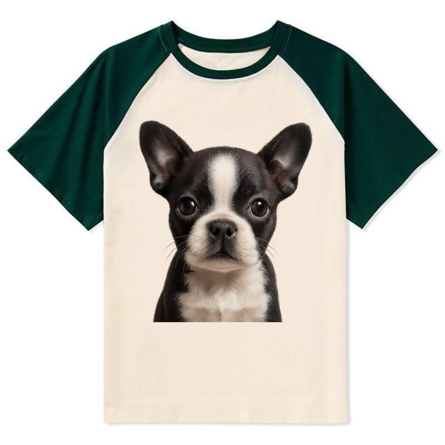 Baby Boston Terrier Puppy - tuxedo markings, big round eyes, bat ears, - Contrast Raglan T-shirt - Green