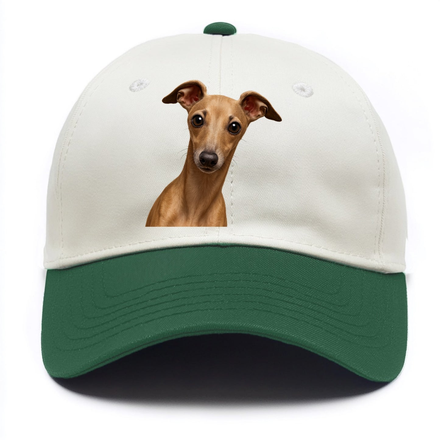 Italian Greyhound - Two Tone Cap - Green