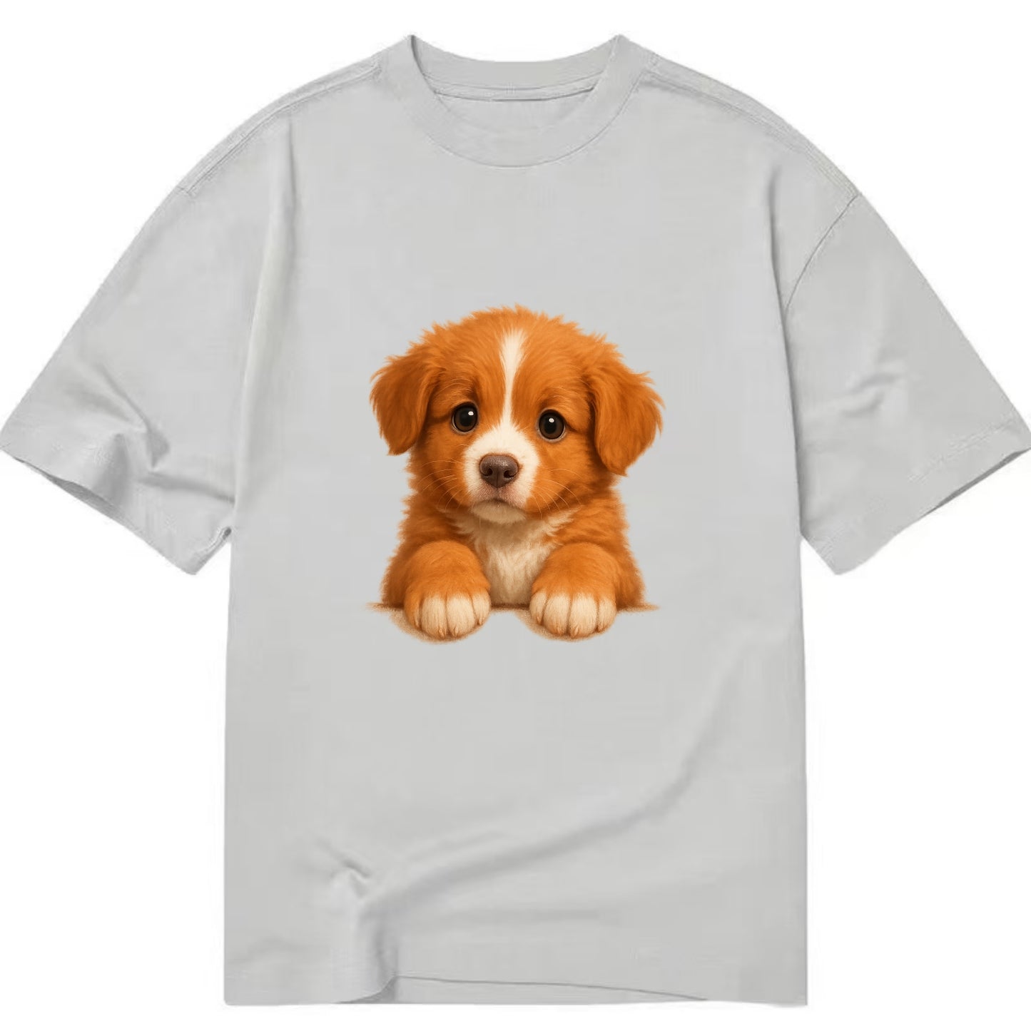 Nova Scotia Duck Tolling Retriever - Cl - Classic T-shirt - Grey