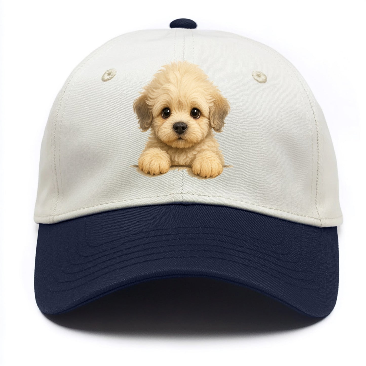 Dandie Dinmont Terrier - Two Tone Cap - Navy