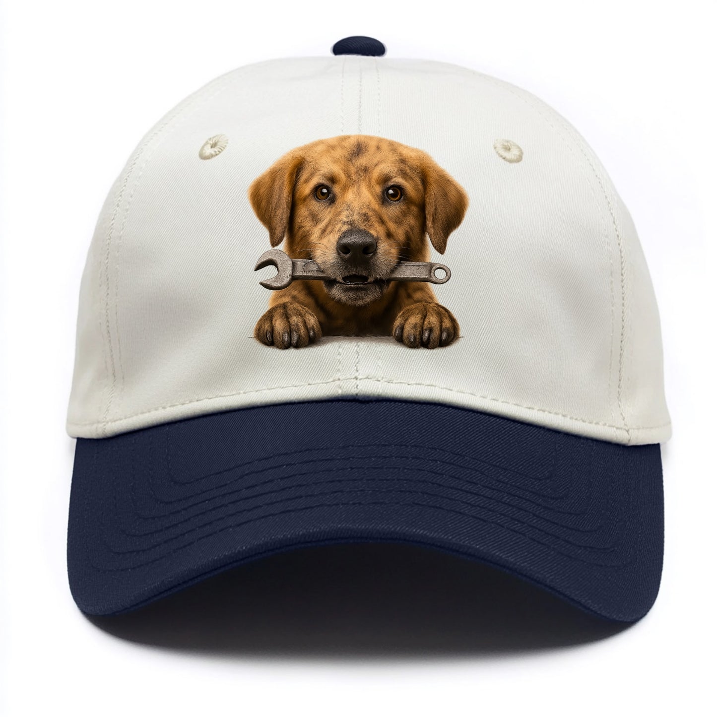 Mechanic Dog - Two Tone Cap - Navy