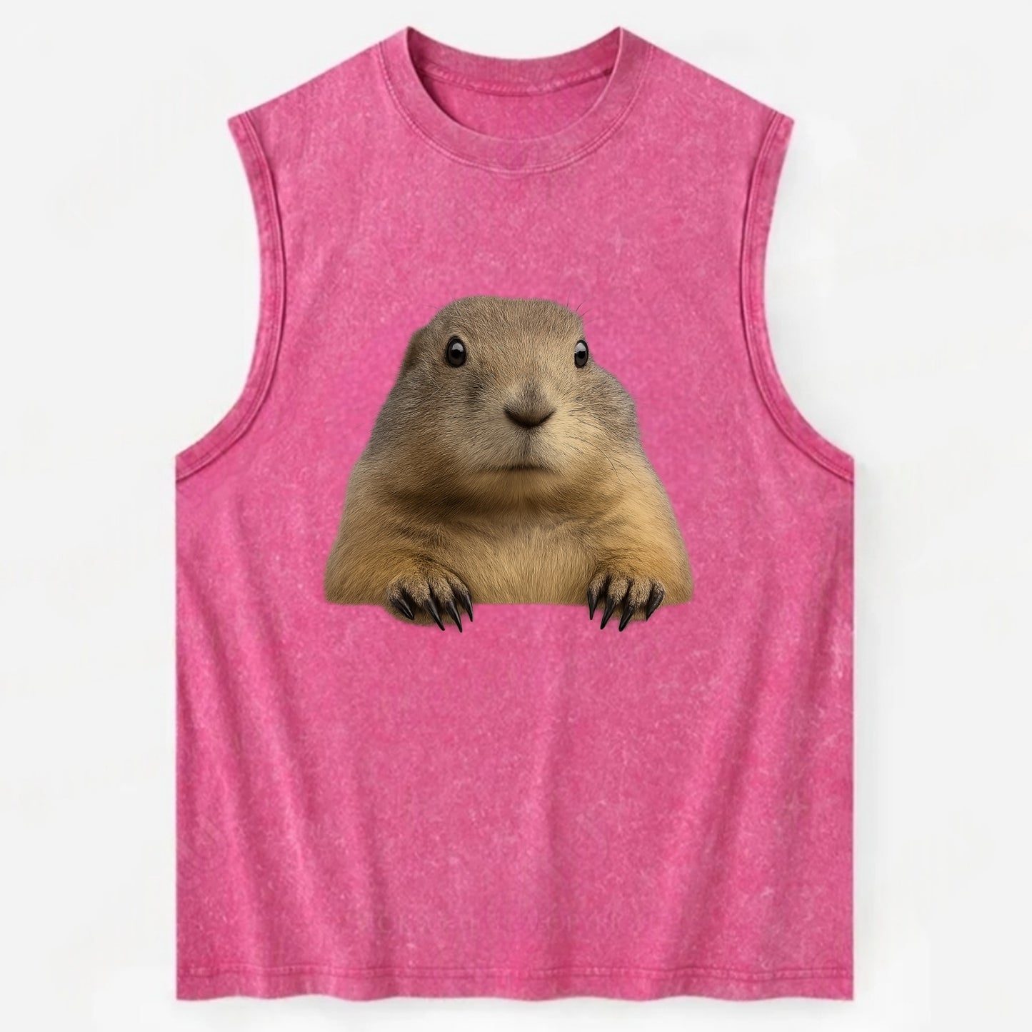 Prairie Dog - Vintage Washed Tank - Pink
