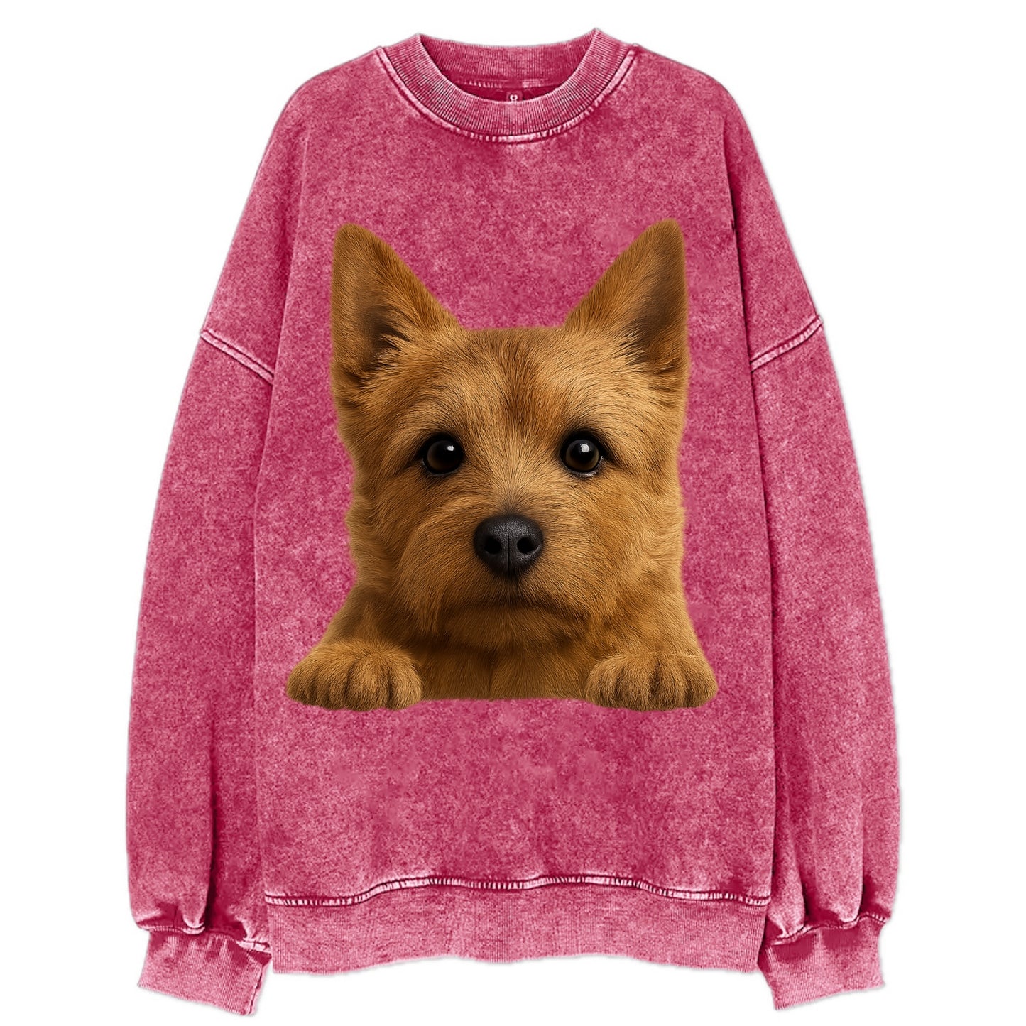 Norwich Terrier - Vintage Sweatshirt - Pink