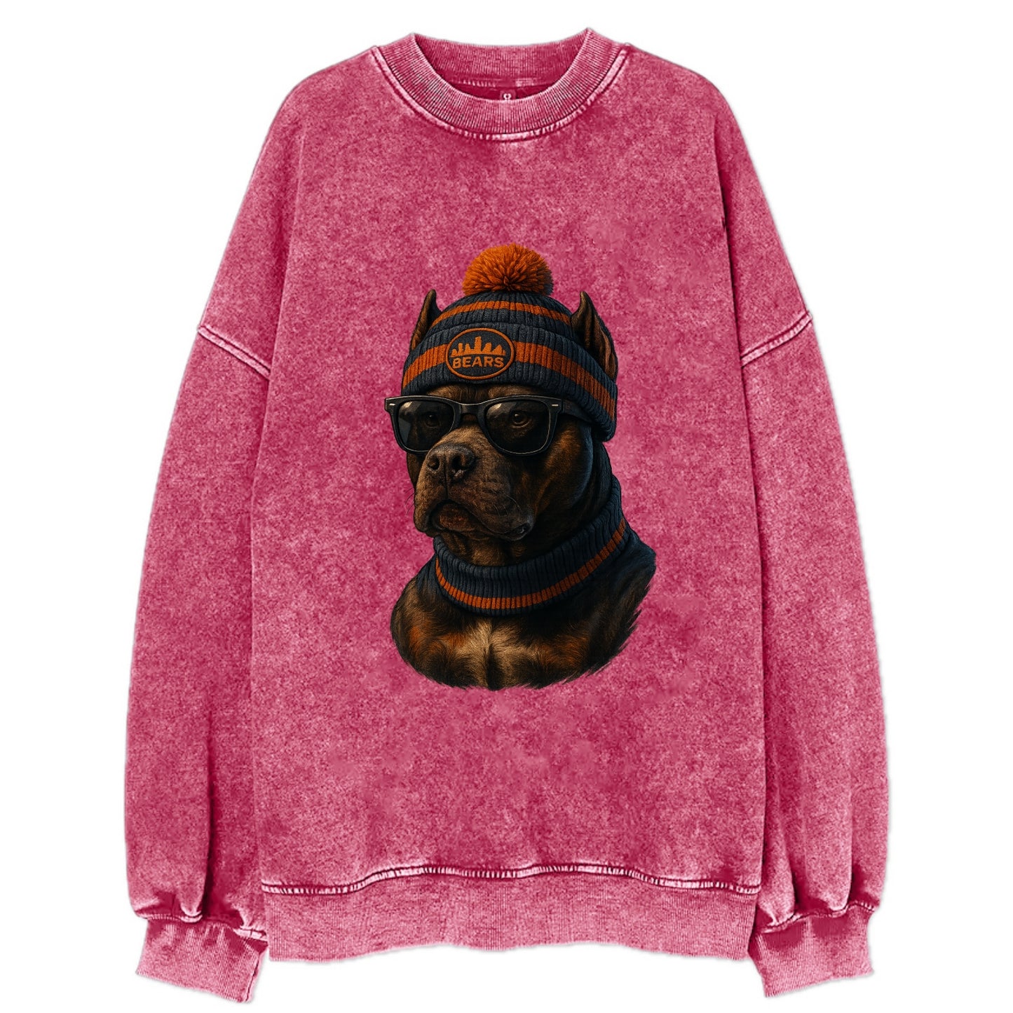 Chicago Pitbull wearing Bears beanie with skyline patch and wayfarer sunglasses - Vintage Sweatshirt - Pink
