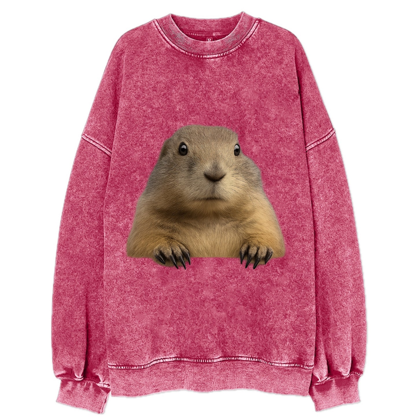 Prairie Dog - Vintage Sweatshirt - Pink