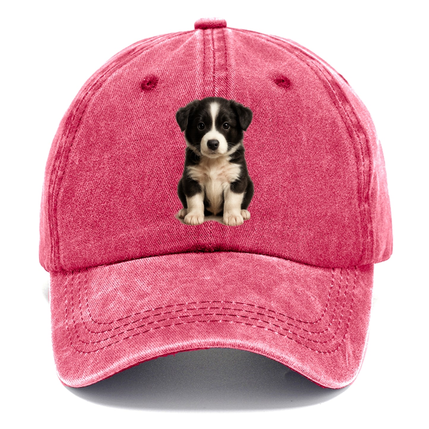 Baby Border Collie Puppy - black and white, intense smart eyes, athletic build, - Classic Cap - Pomegranate Blush(Pink)