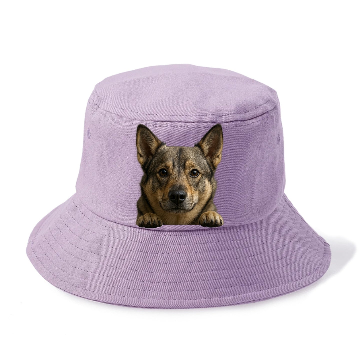 Swedish Vallhund - Bucket Hat - Purple