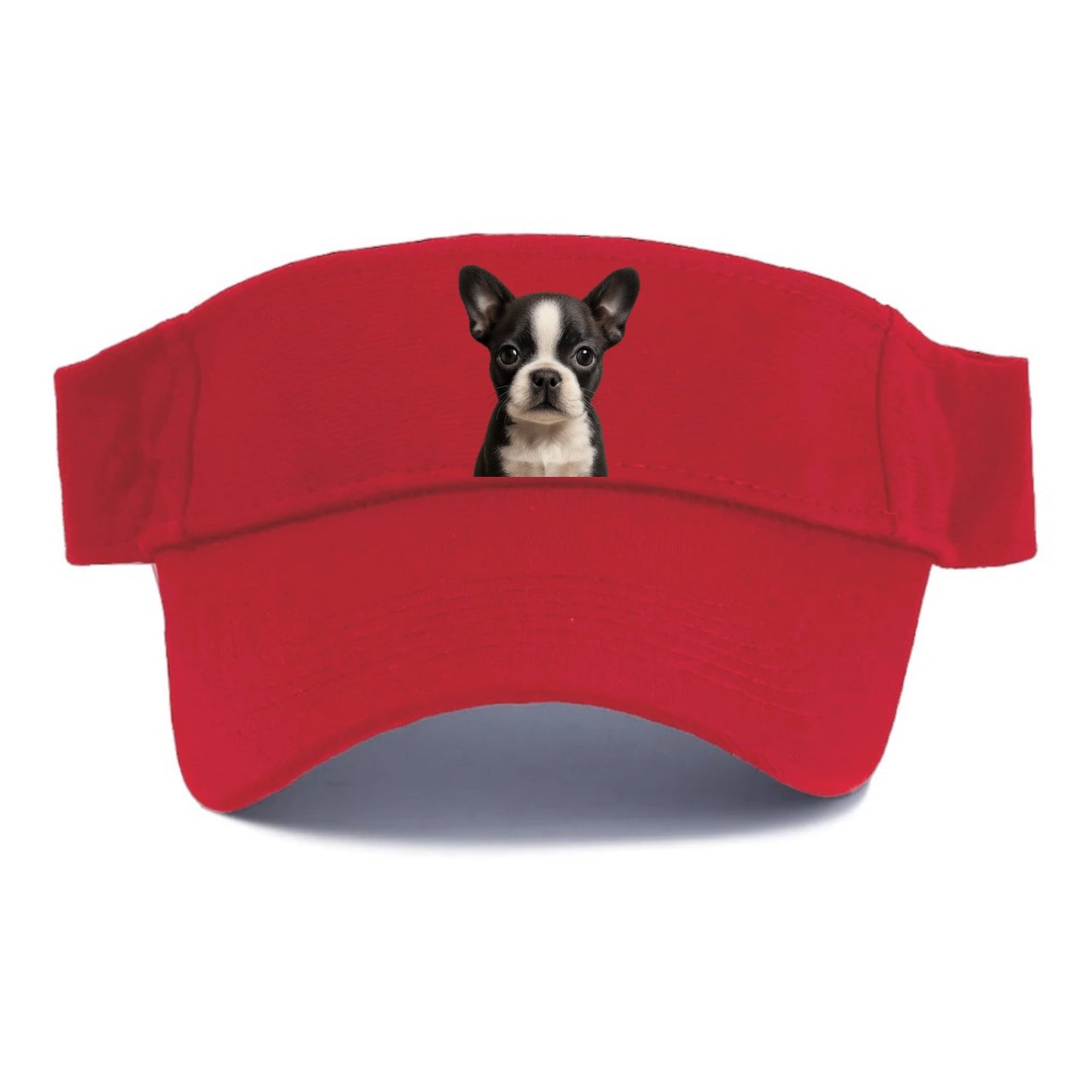 Baby Boston Terrier Puppy - tuxedo markings, big round eyes, bat ears, front-facing, - Visor - Red