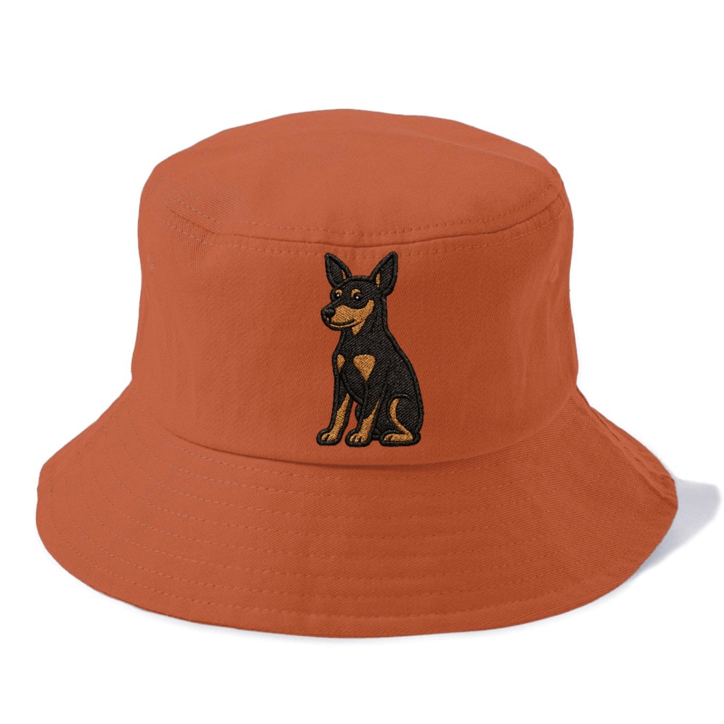 miniature-pinscher-black-tan-regal-poise Hat