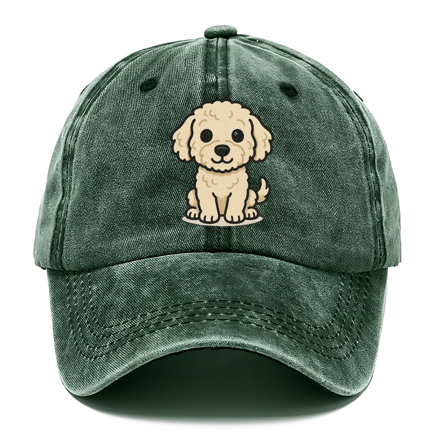 labradoodle curly cream sitting pose portrait design Hat