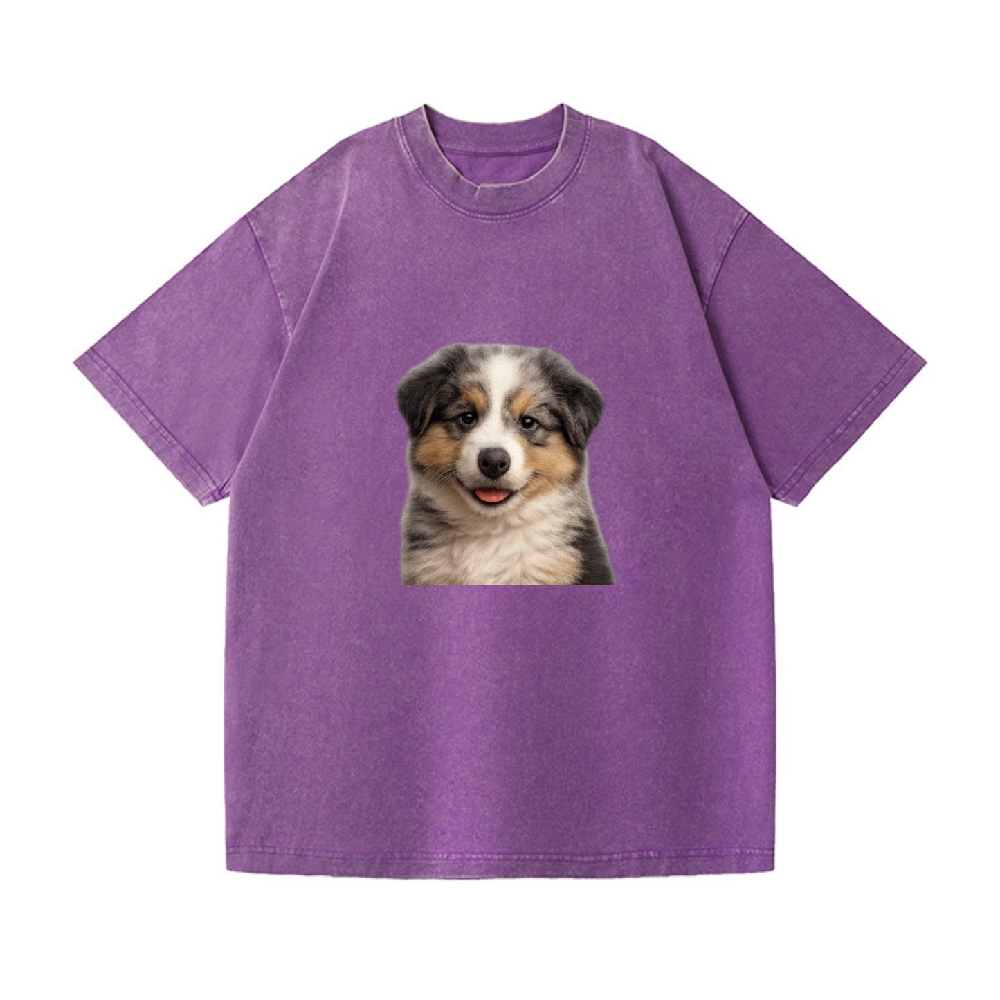 australian shepherd puppy portrait design Hat