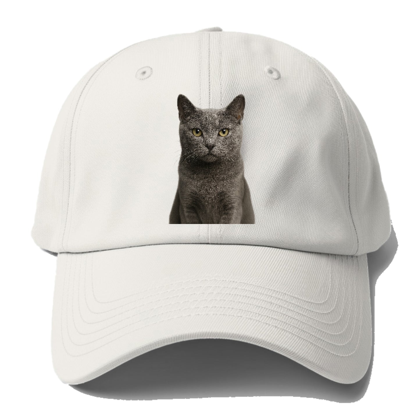 gray-cat-mysterious-charm Hat