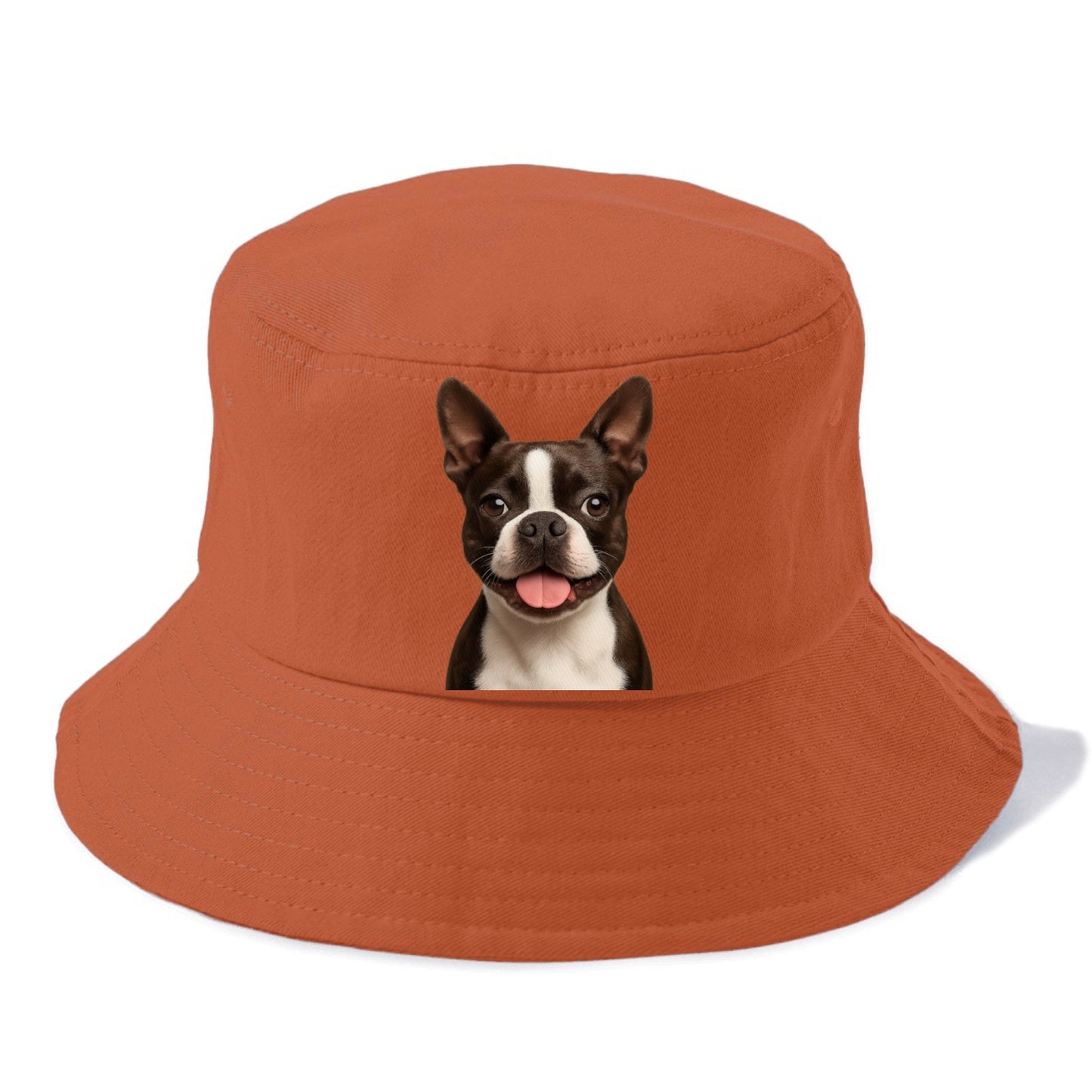 boston terrier: dapper & devoted companion Hat