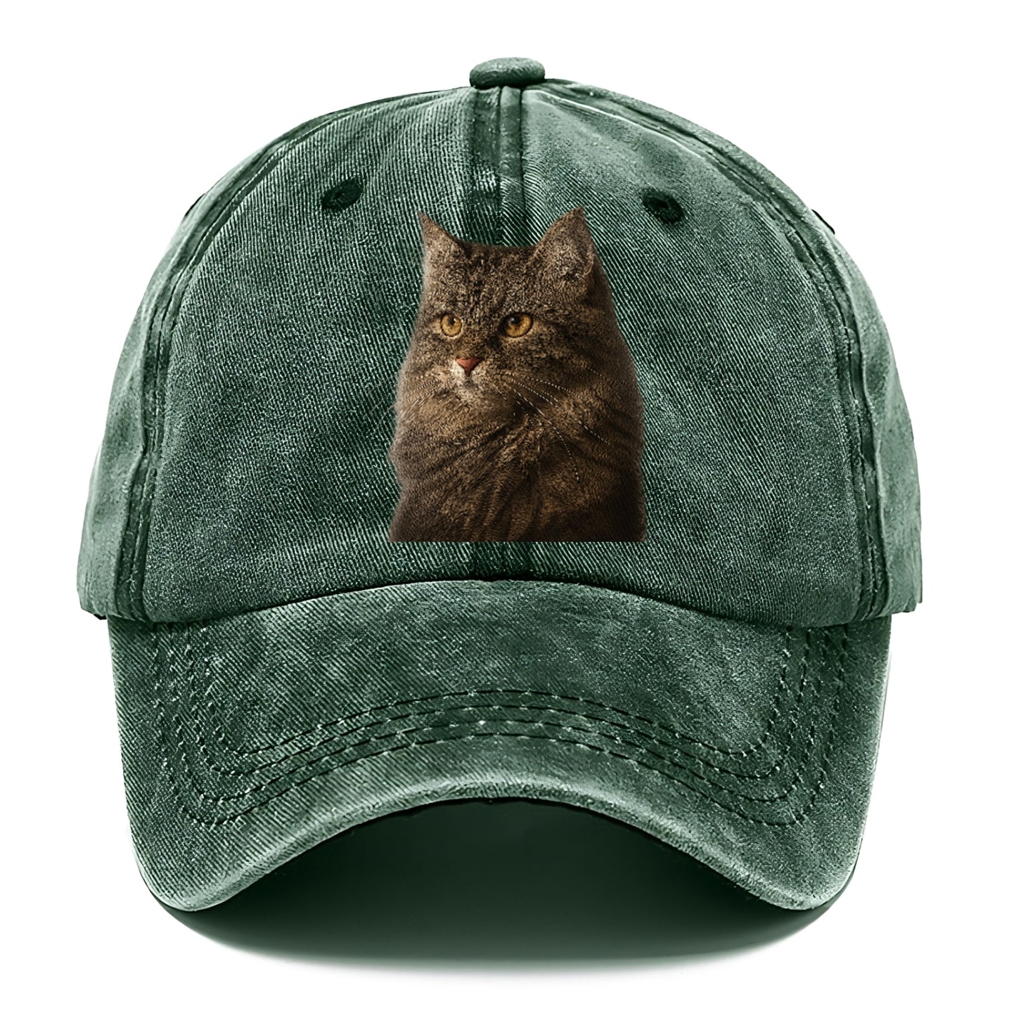 domestic-longhair-graceful-charm Hat