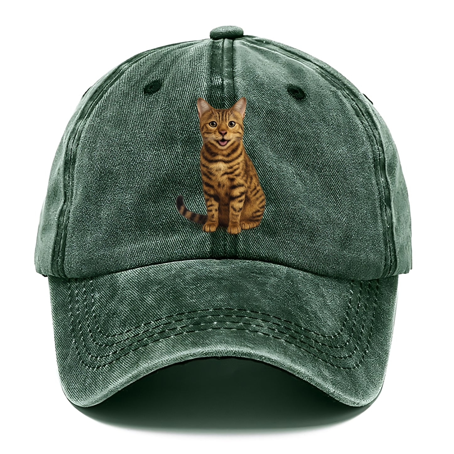 whiskered wonders Hat