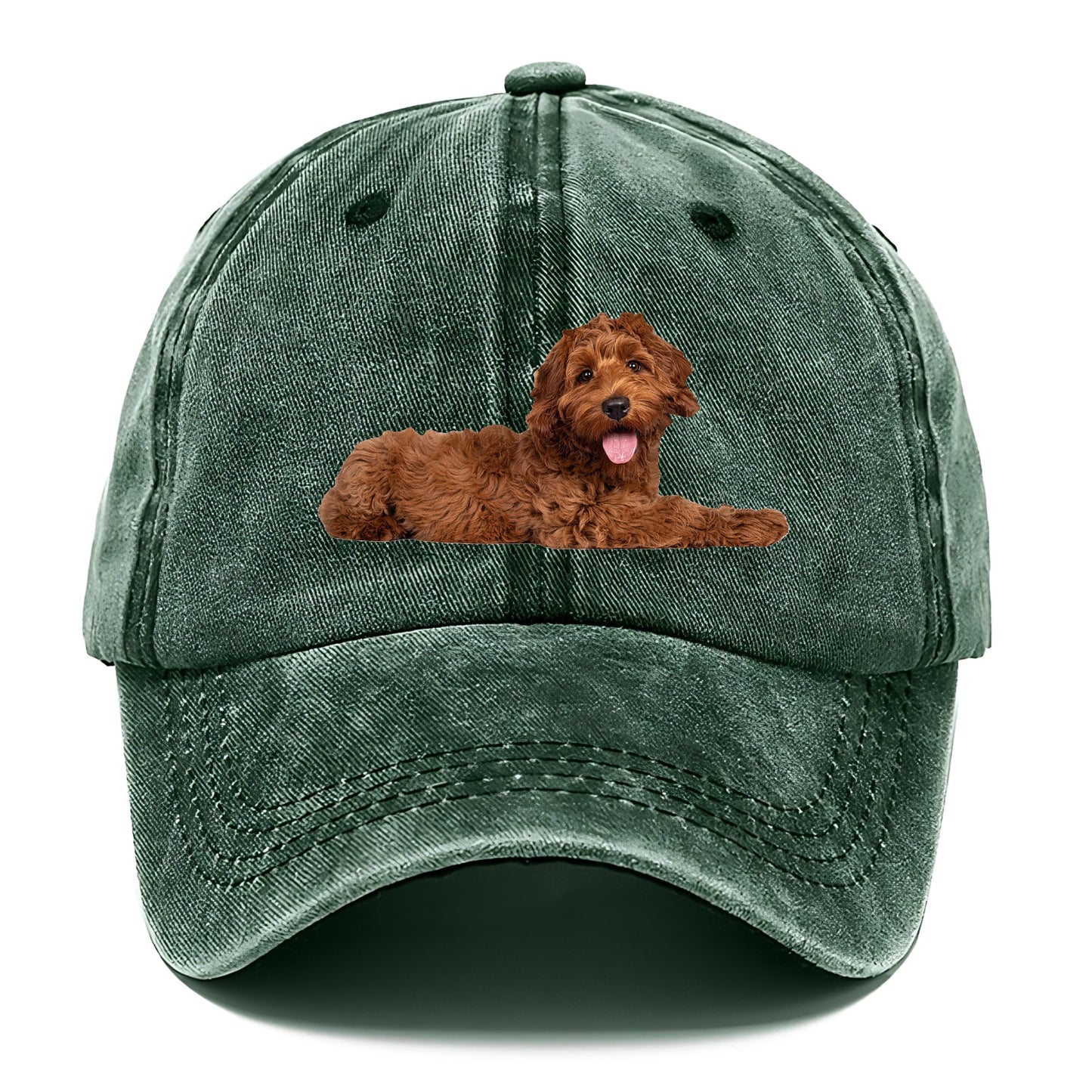 Labradoodle laying down Hat