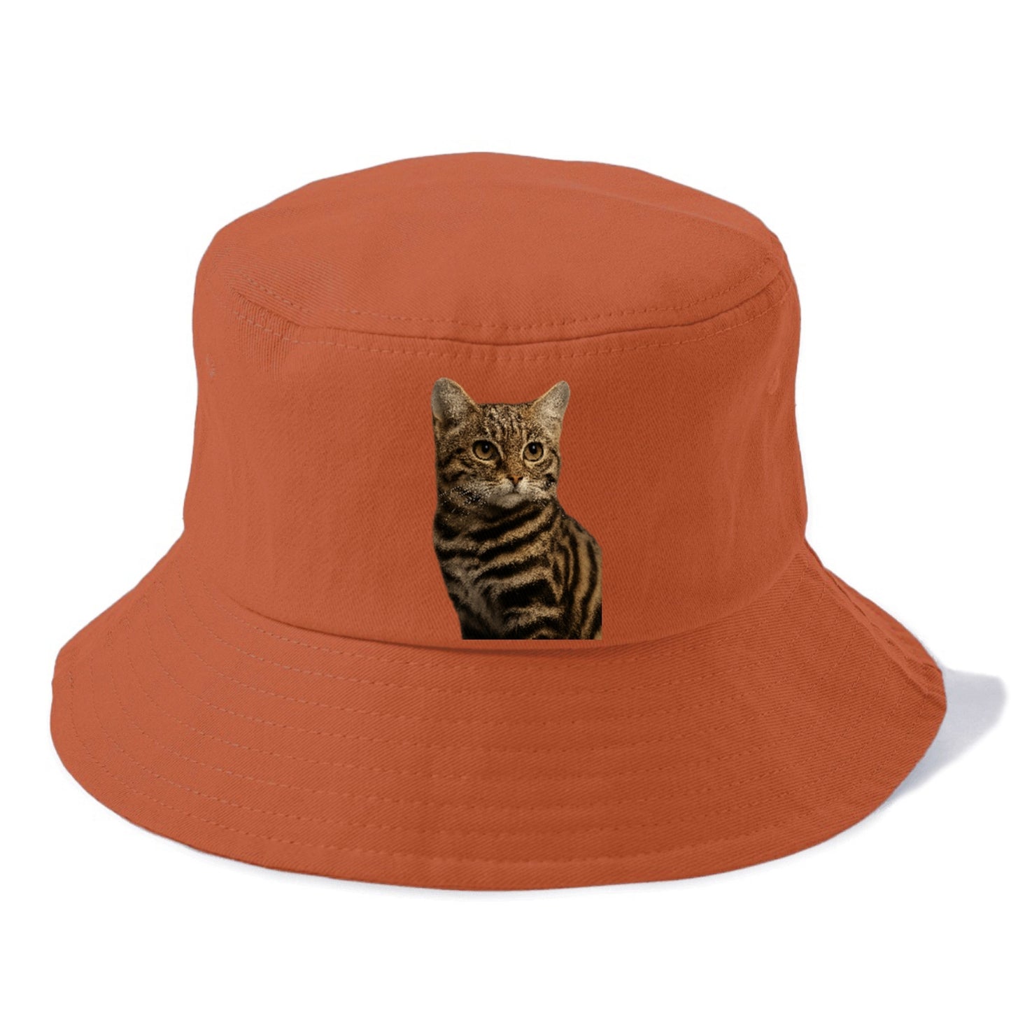 blackfooted-cat-elusive-hunter Hat