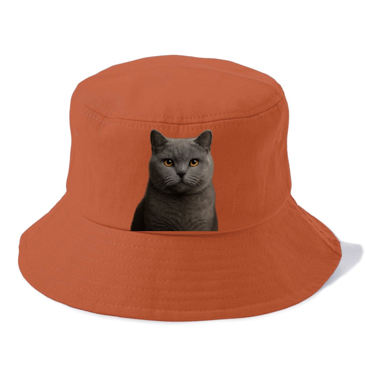british shorthair dignified charm Hat